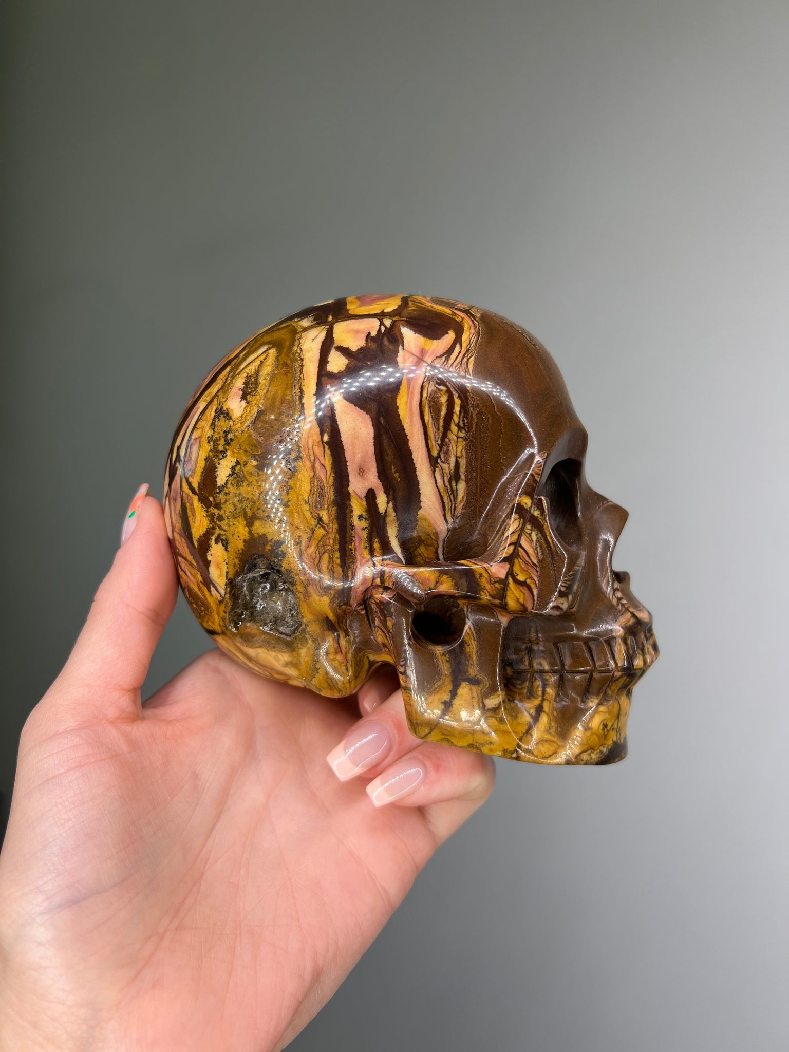 Petrified Wood Skull