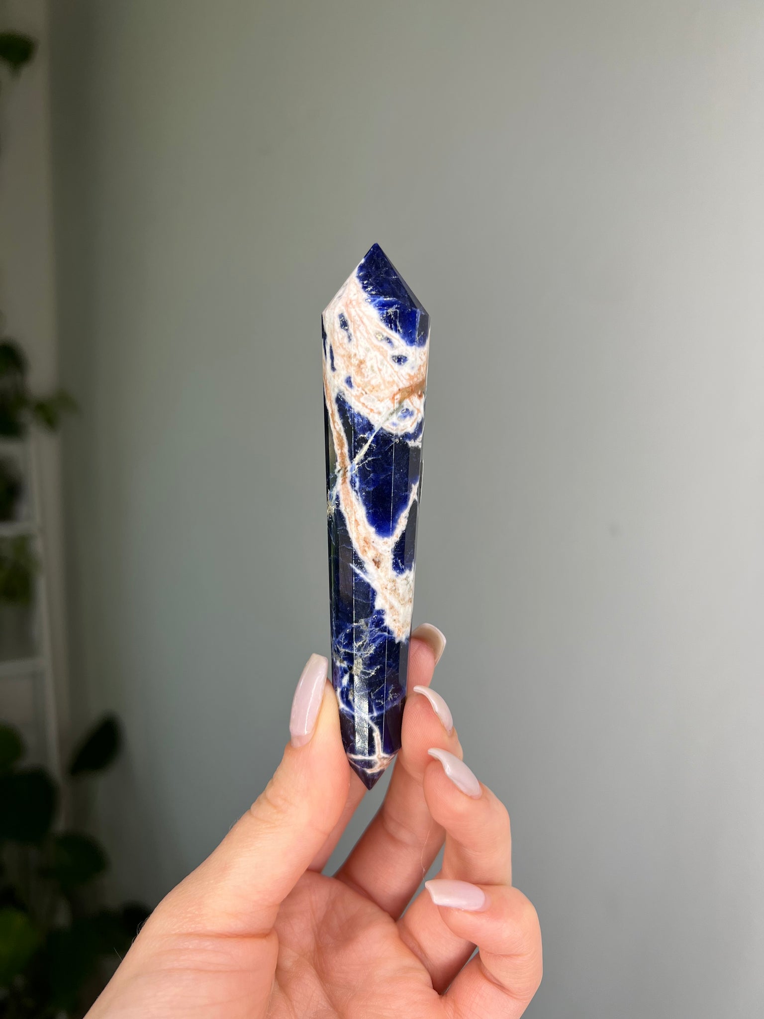 Sodalite Vogel Wand