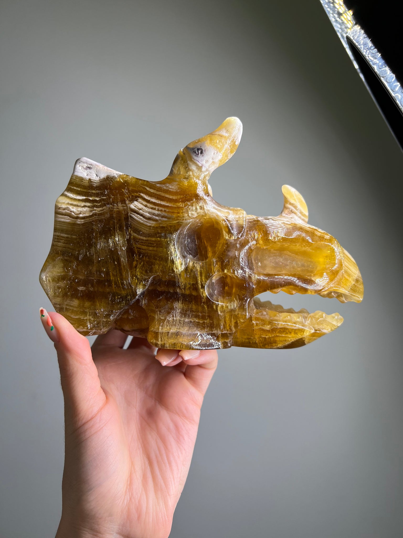 Yellow Fluorite Triceratops Skull