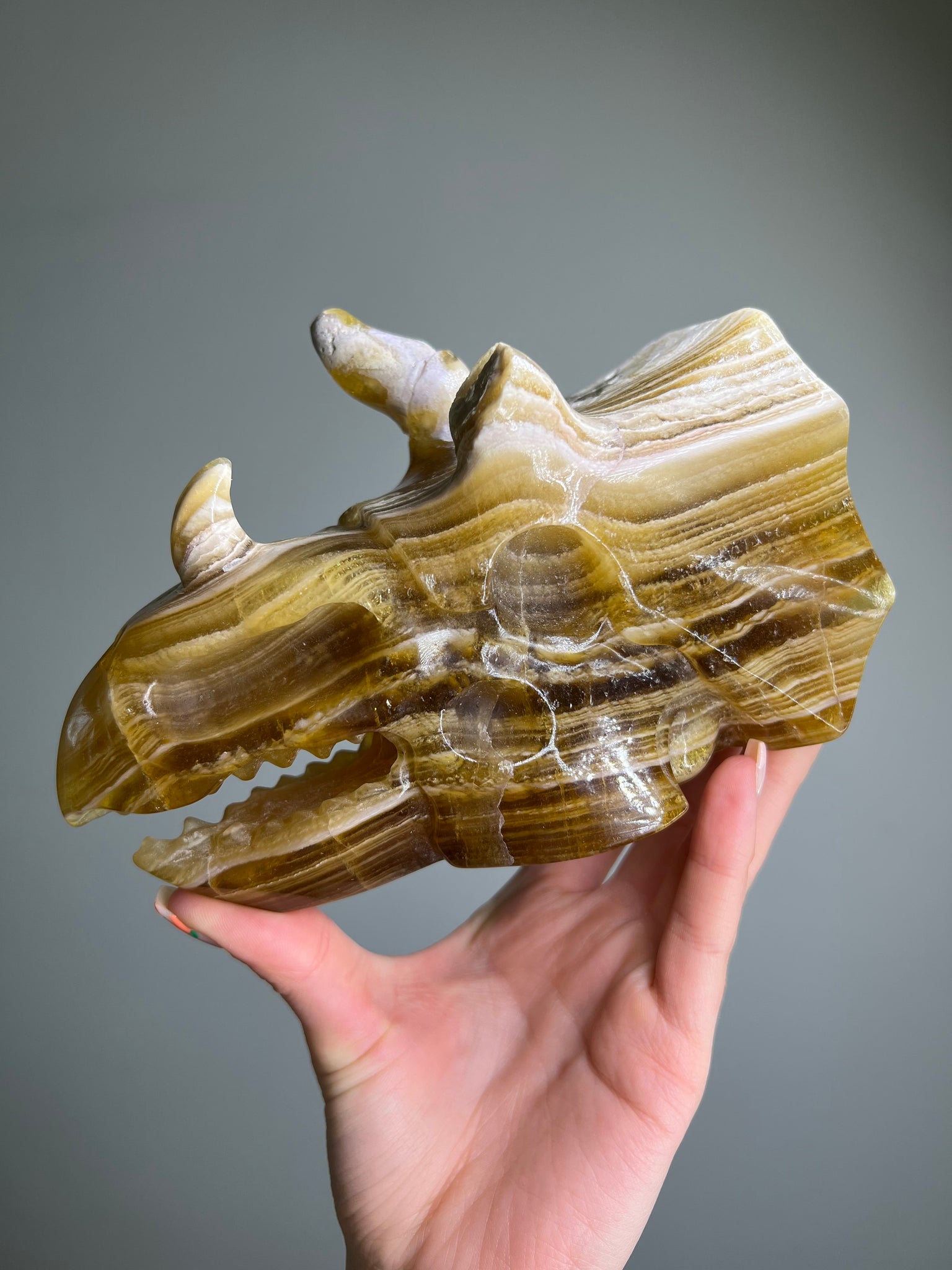 Yellow Fluorite Triceratops Skull