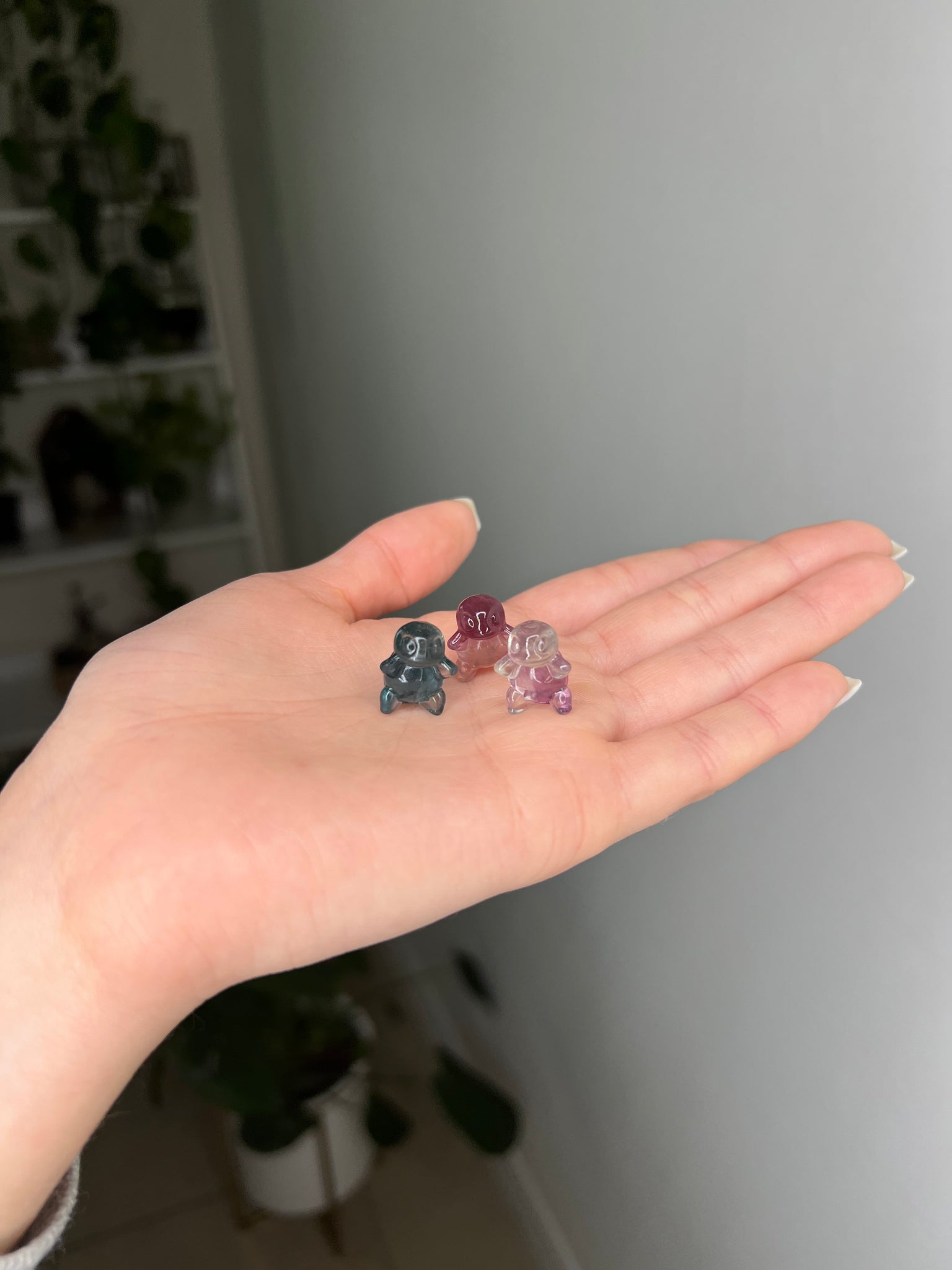 Fluorite Squirtle