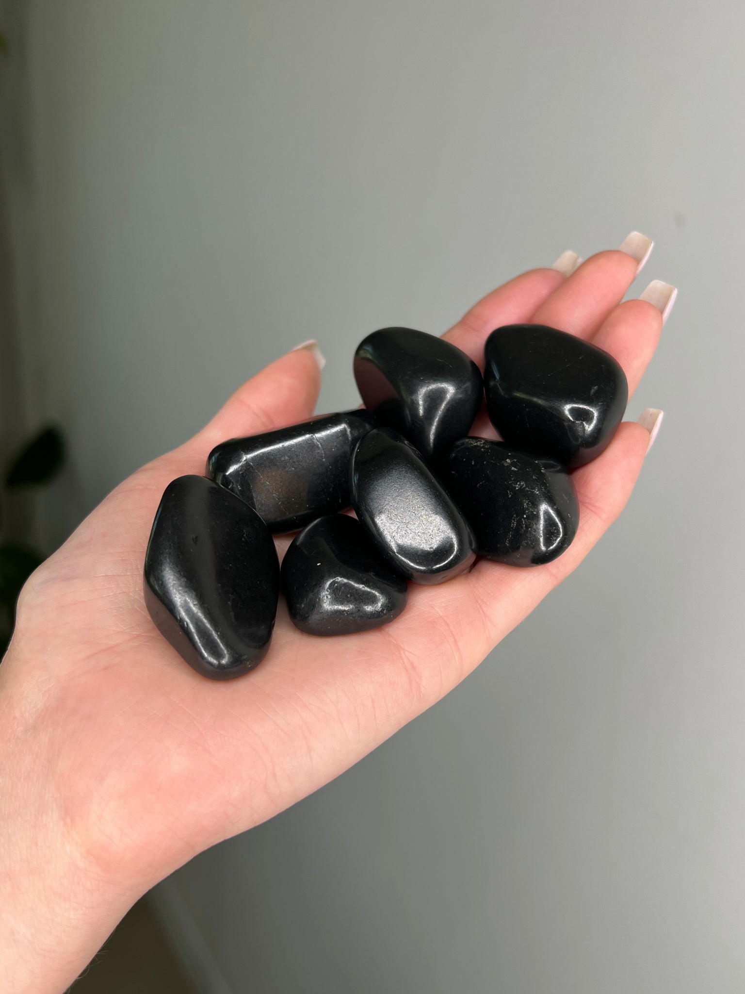 Shungite Tumble