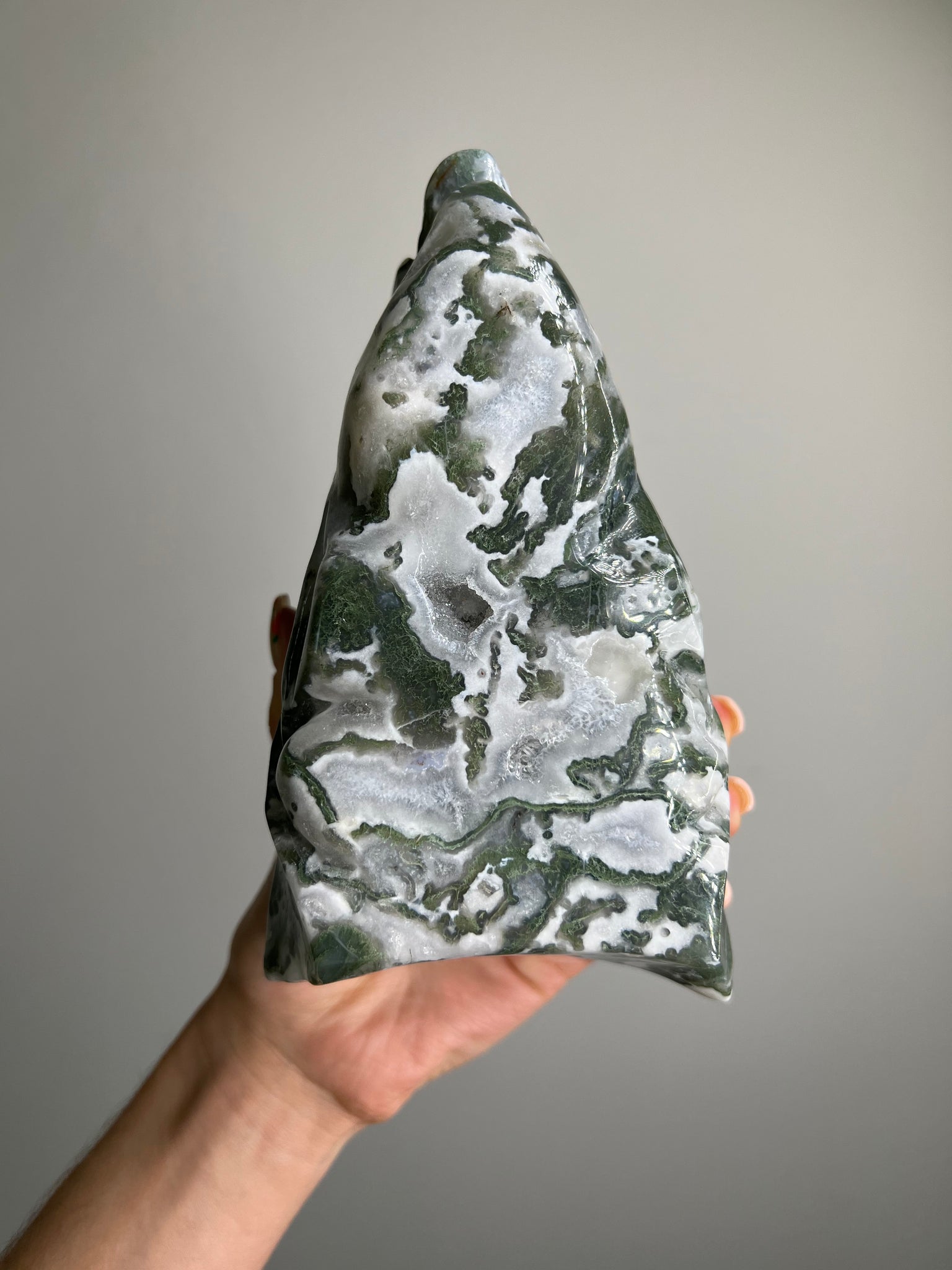 Moss Agate Triceratops Skull