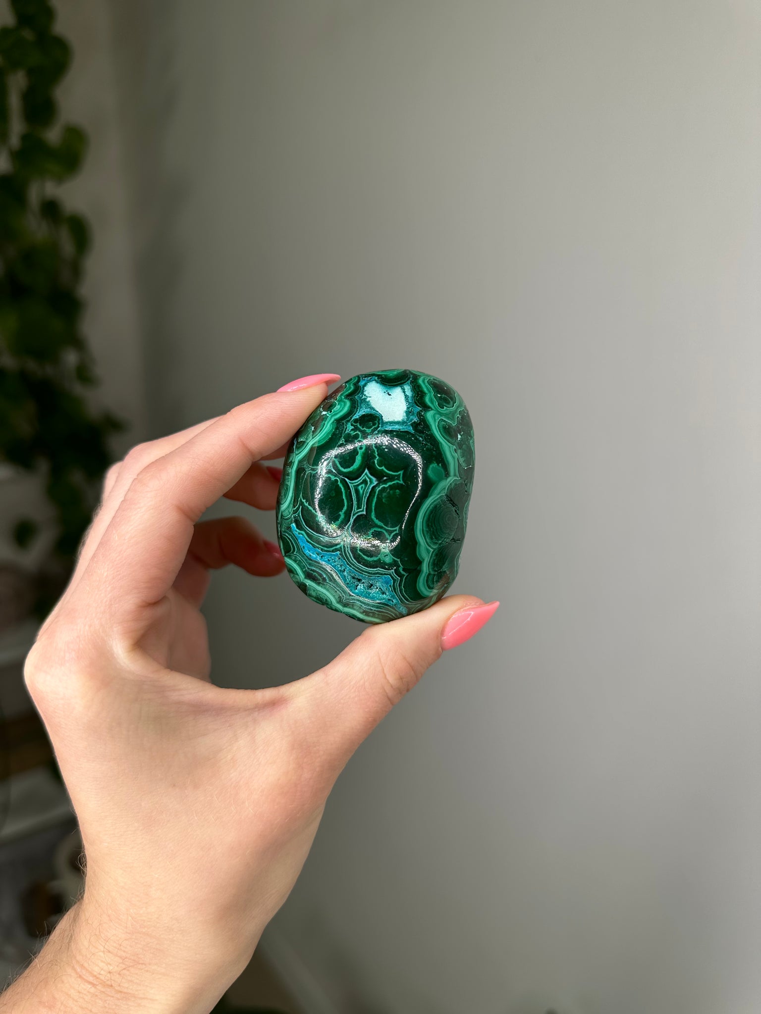 Malachite w/ Botryoidal Chrysocolla Freeform
