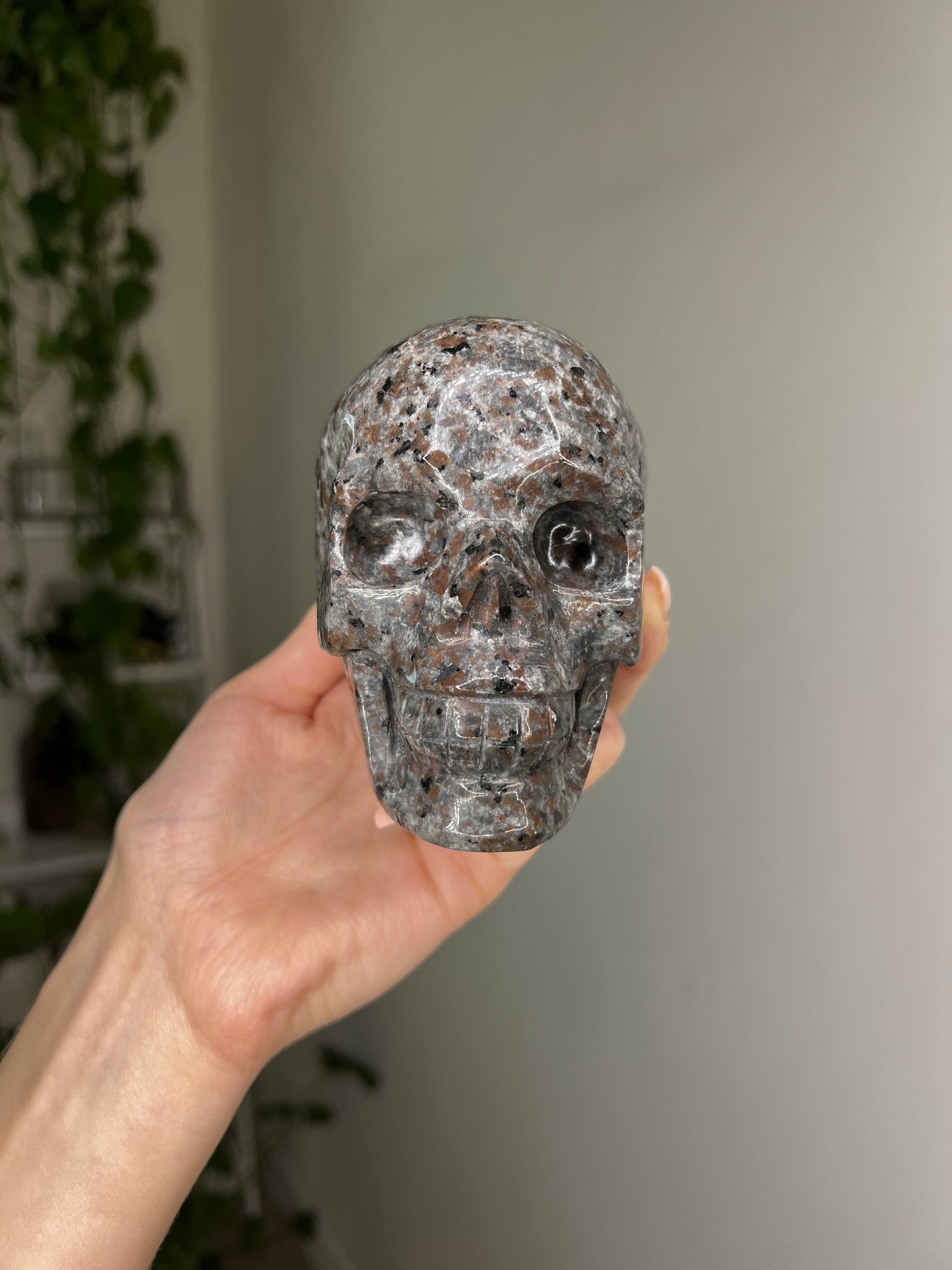UV Reactive Yooperlite Skull