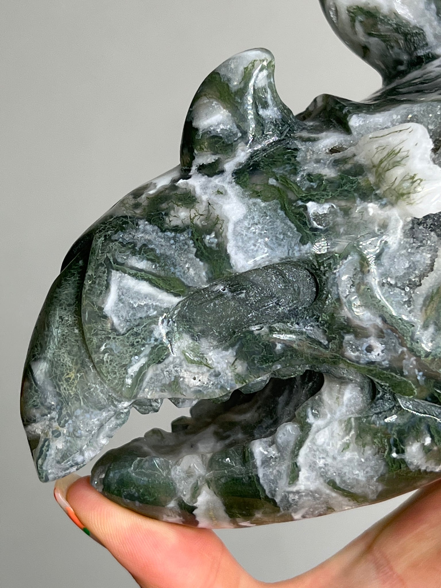 Moss Agate Triceratops Skull