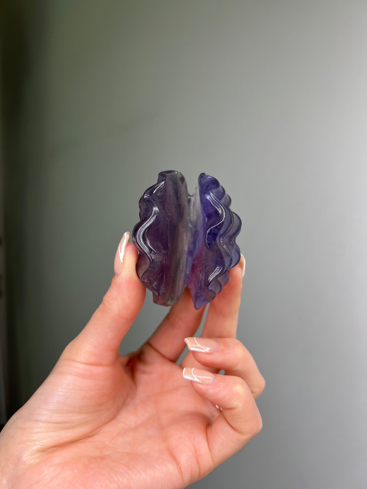 Fluorite Seashell