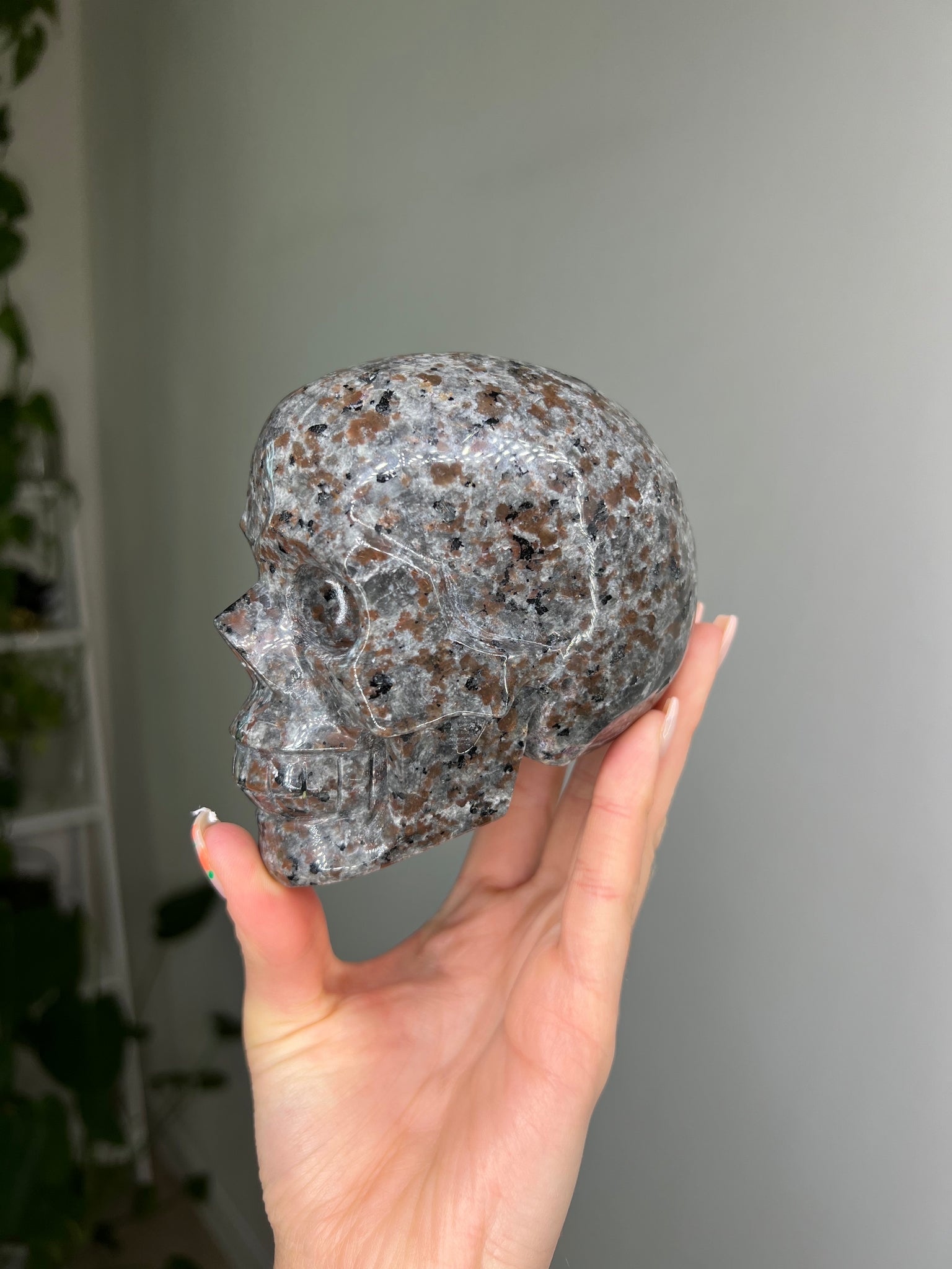 UV Reactive Yooperlite Skull