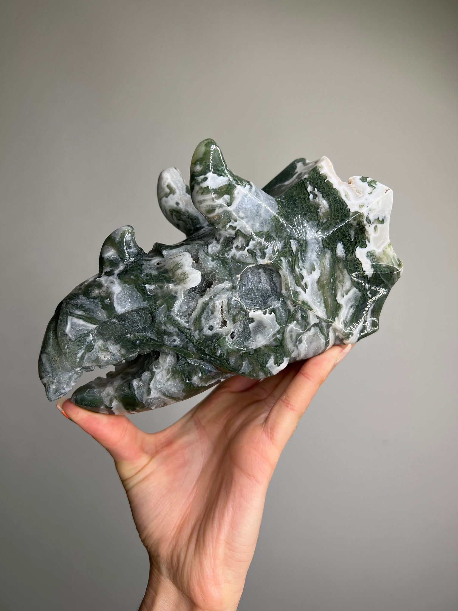 Moss Agate Triceratops Skull