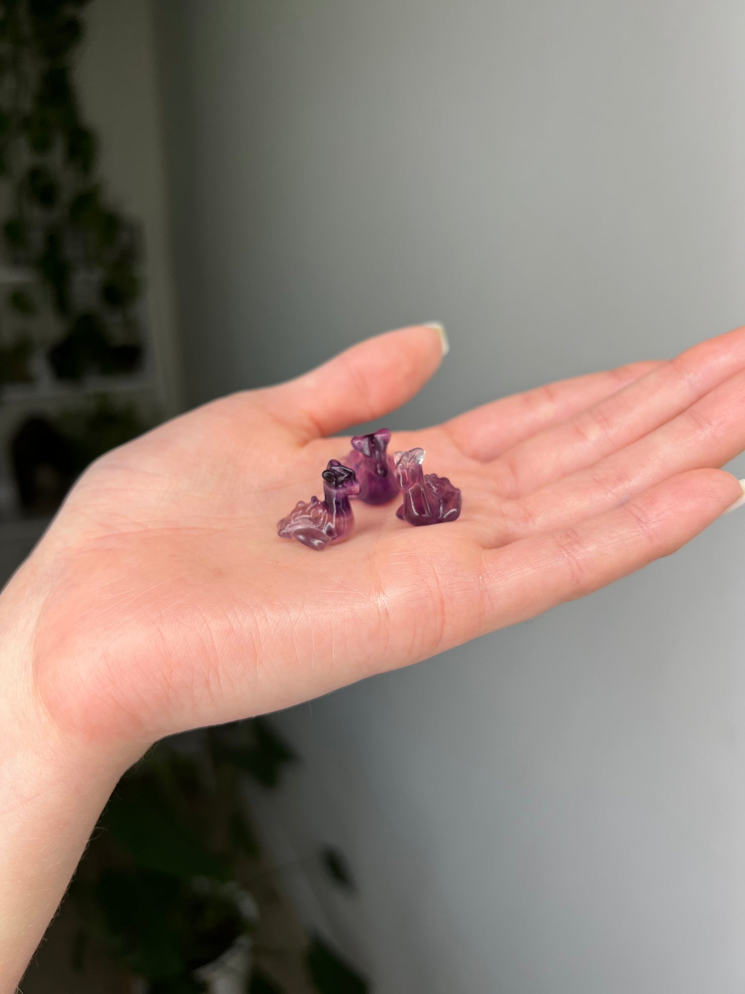 Fluorite Lapras - Add-on