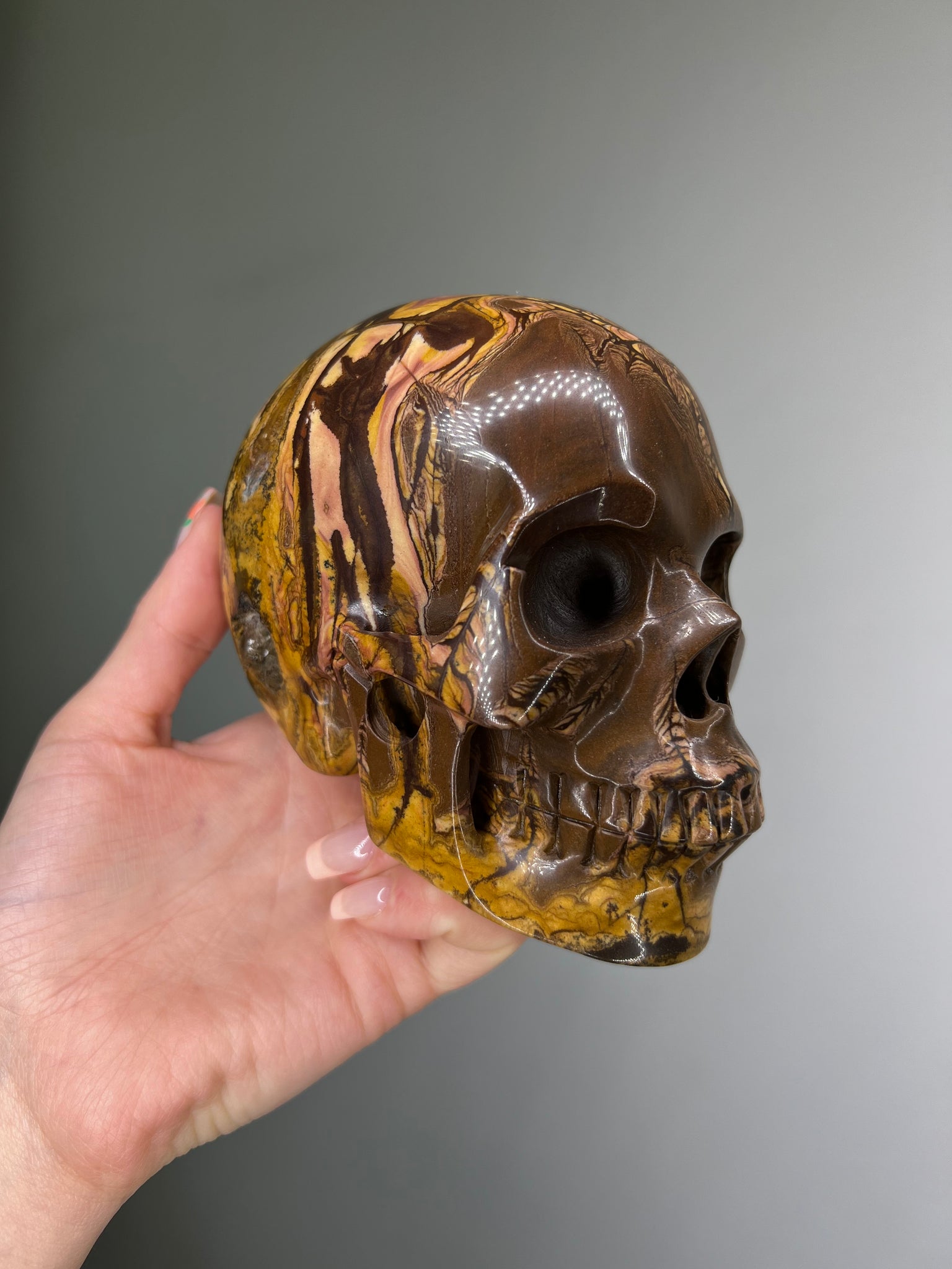 Petrified Wood Skull