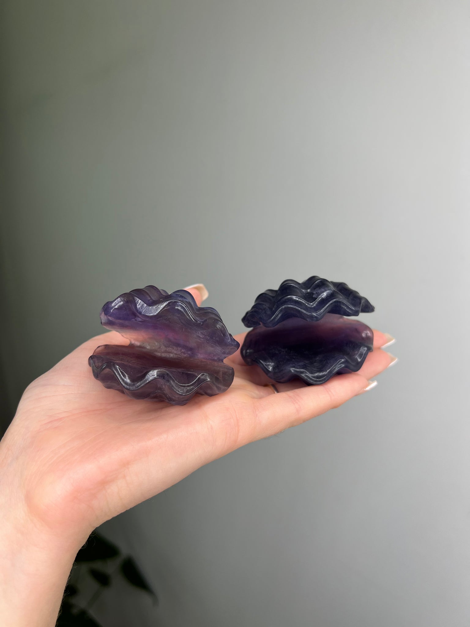 Fluorite Seashell