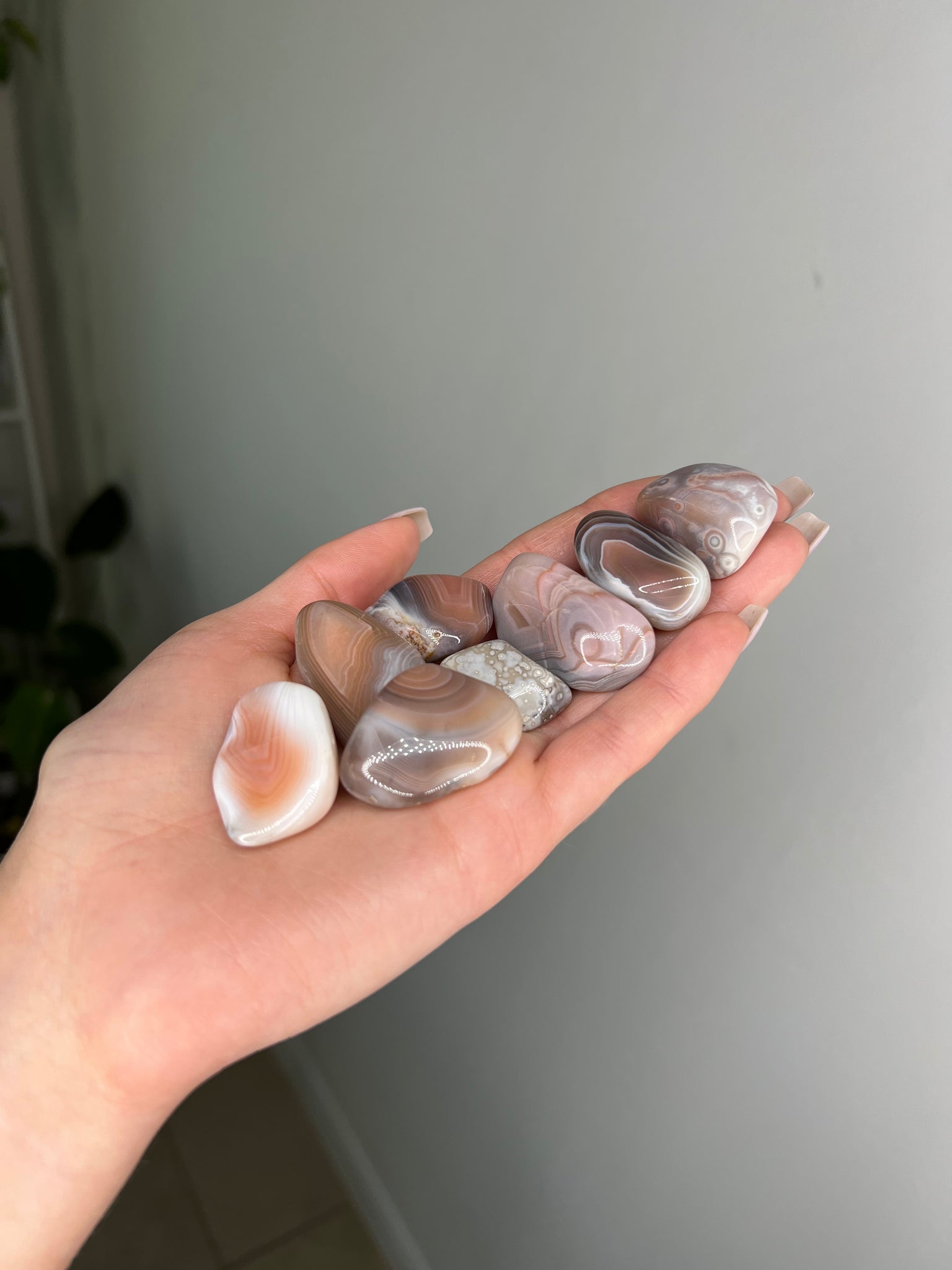 Pink Botswana Agate Tumble - Addon
