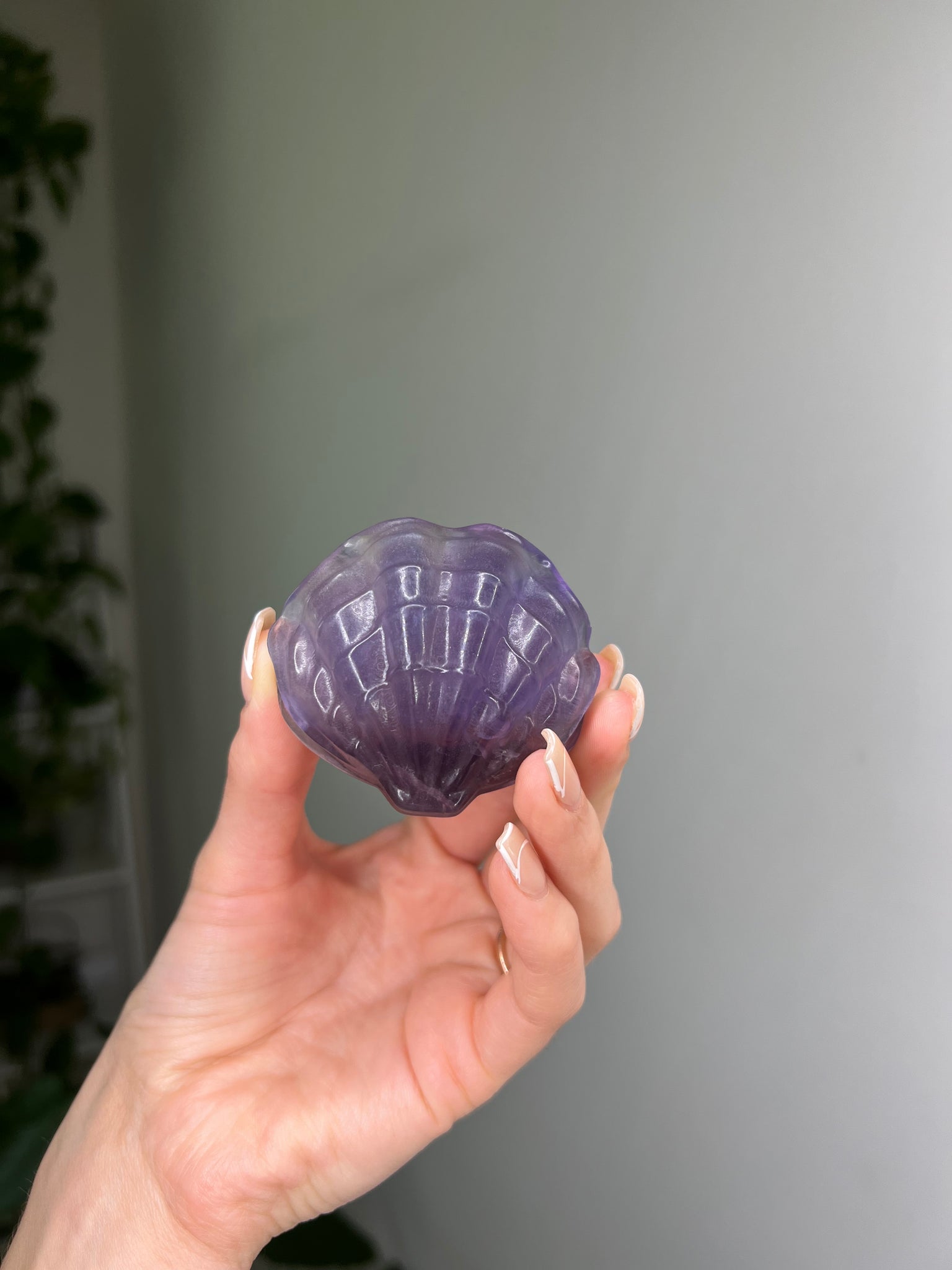 Fluorite Seashell