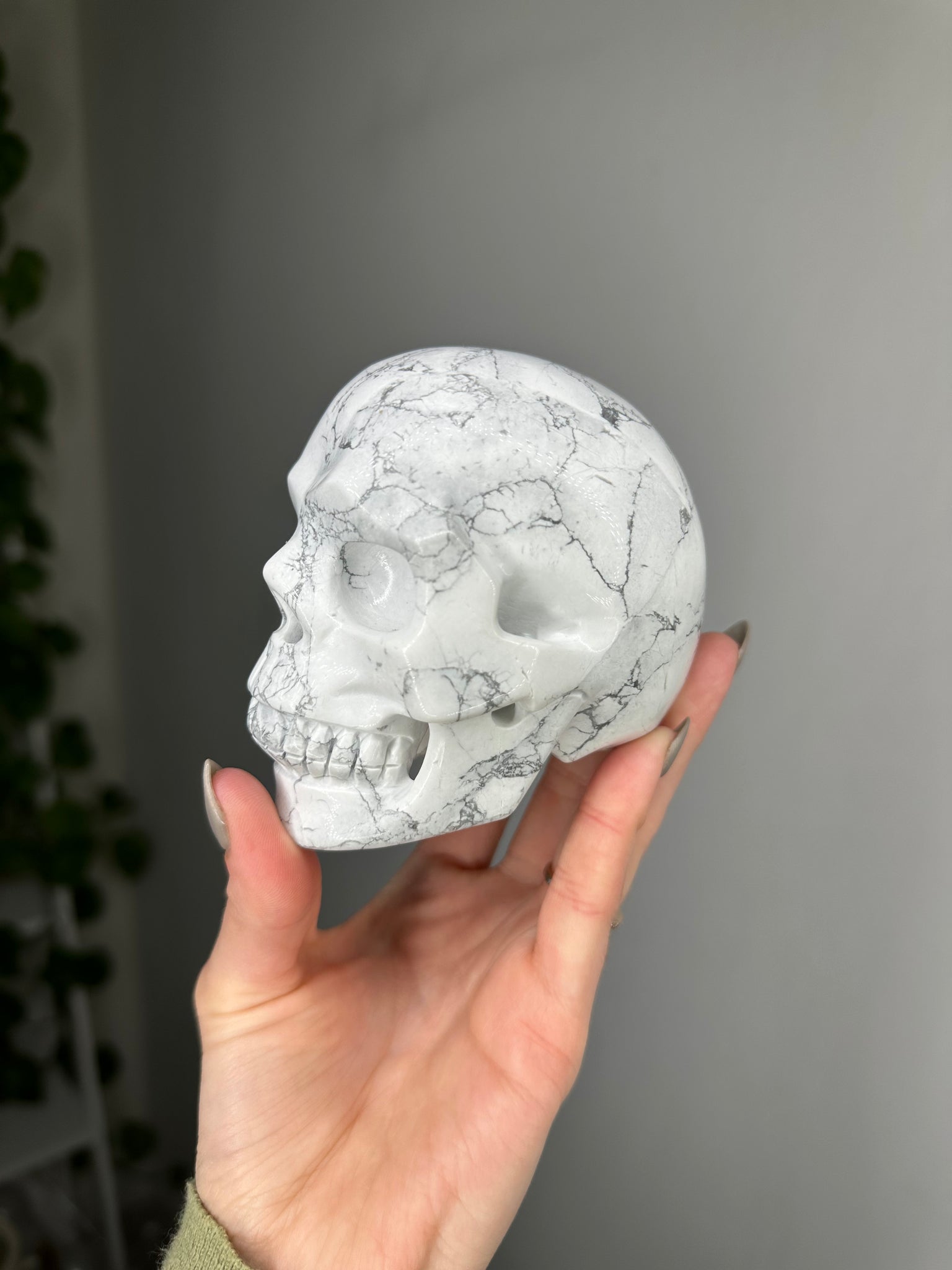 Howlite Skull