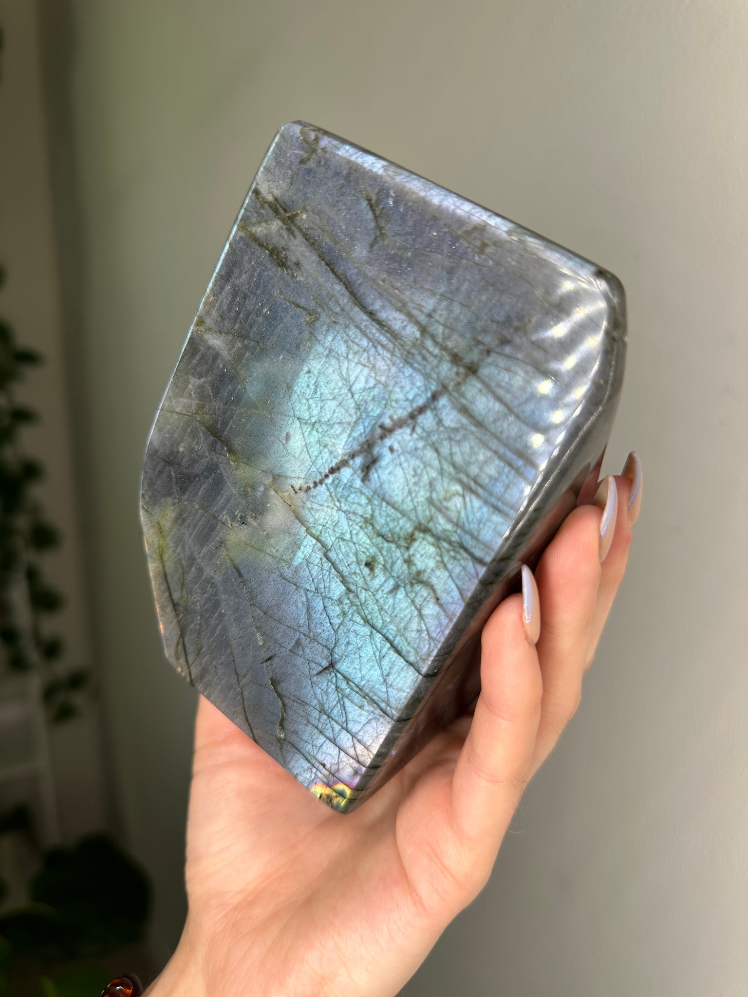 Silver Flash Labradorite Freeform