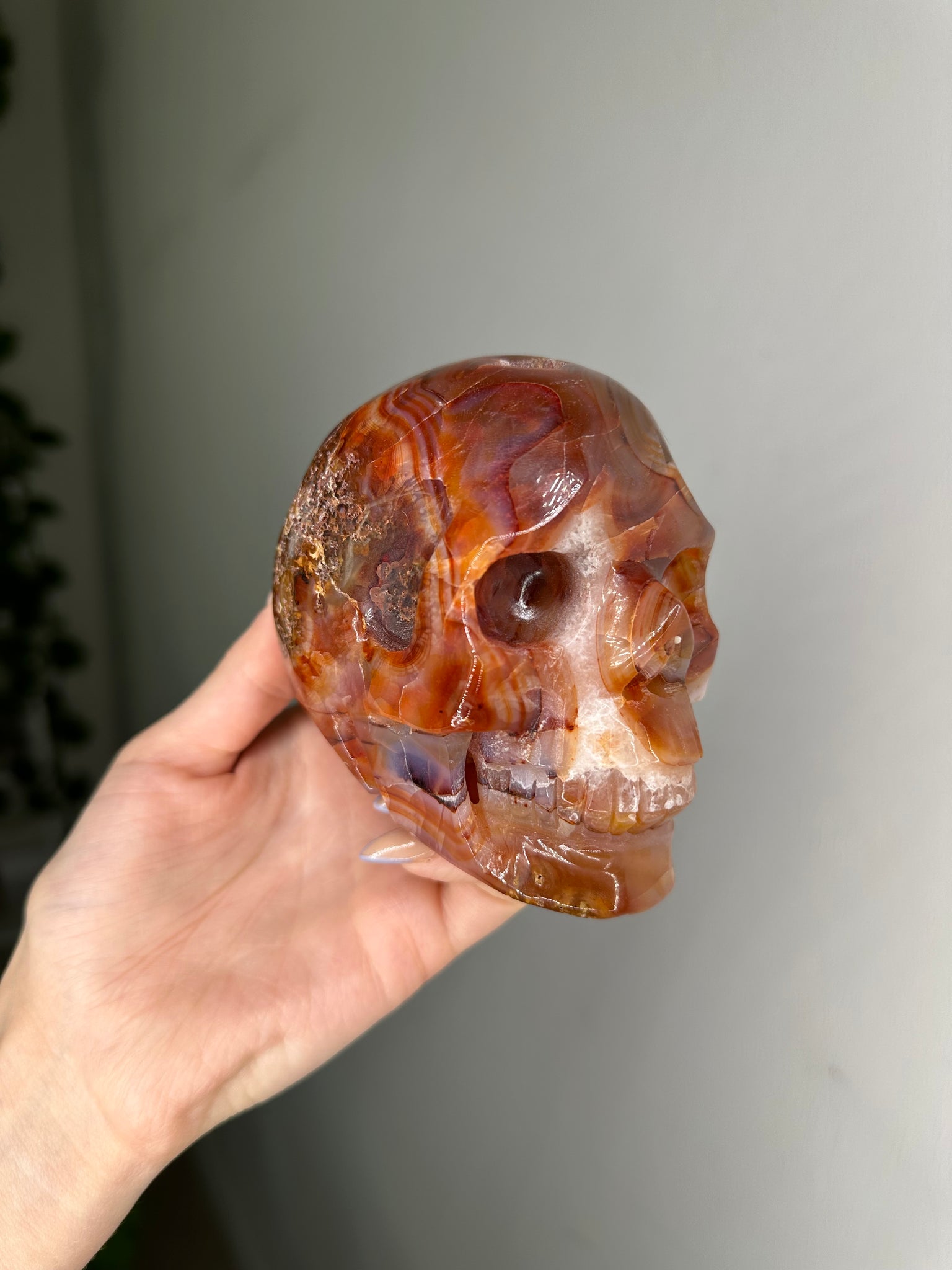 Carnelian Skull