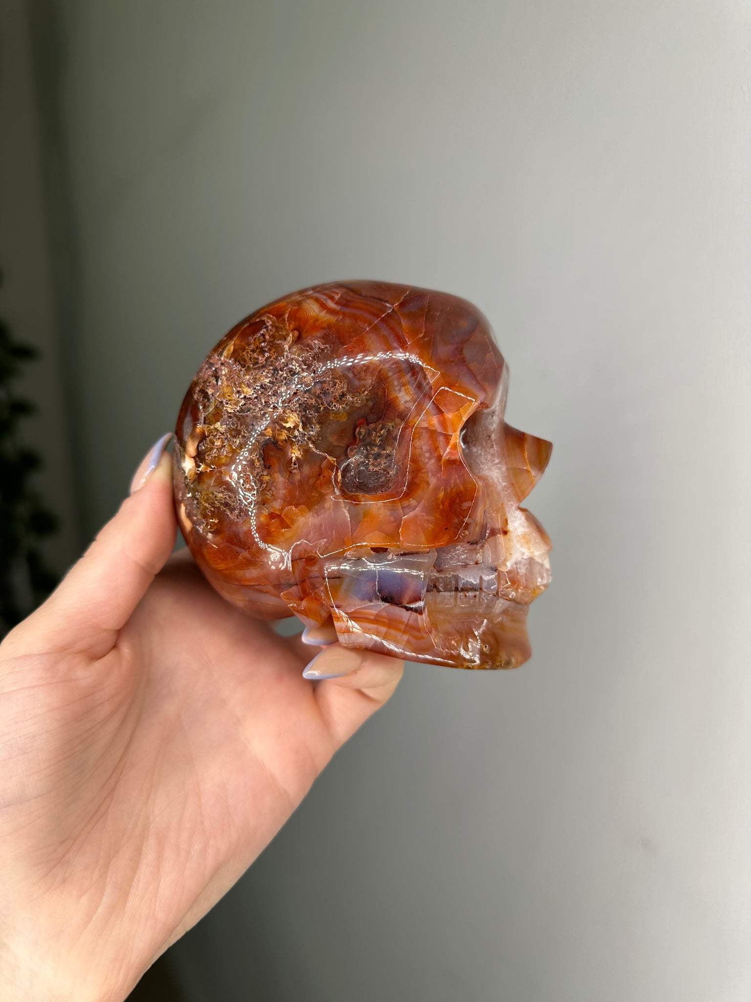 Carnelian Skull