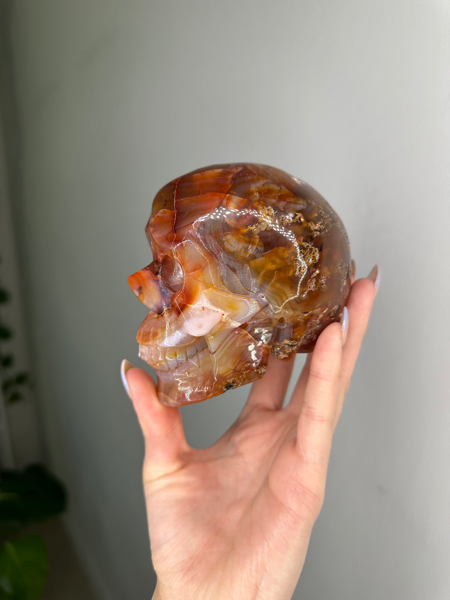 Carnelian Skull