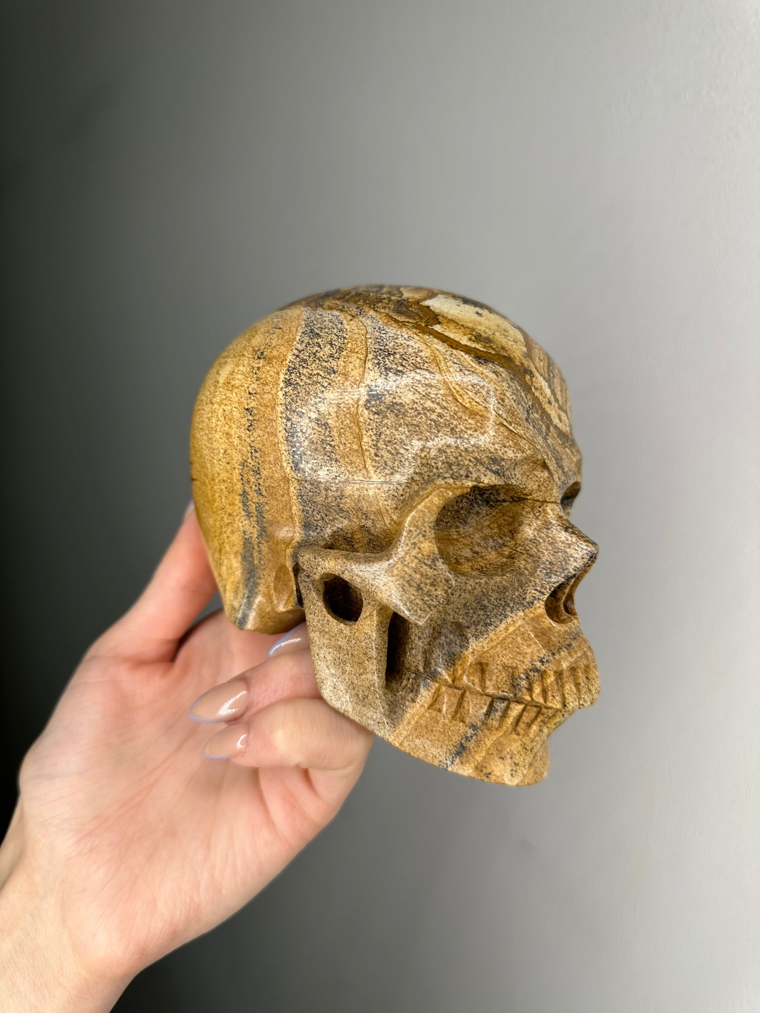 Sandstone Skull