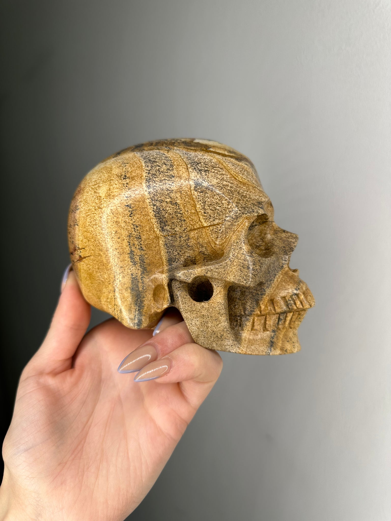 Sandstone Skull
