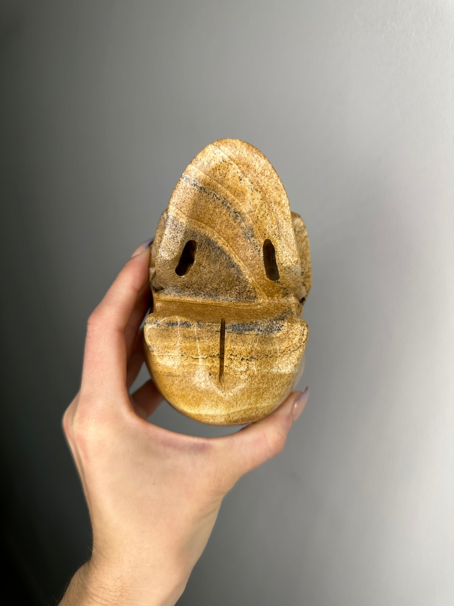 Sandstone Skull