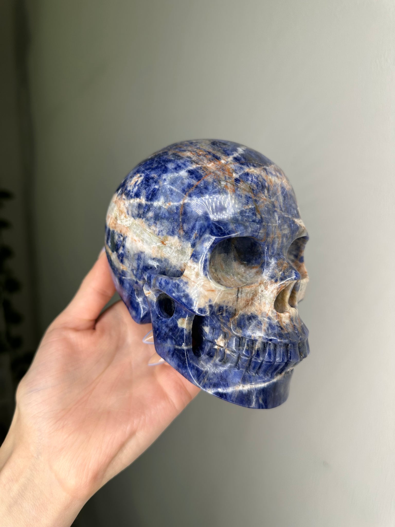 Sodalite Skull