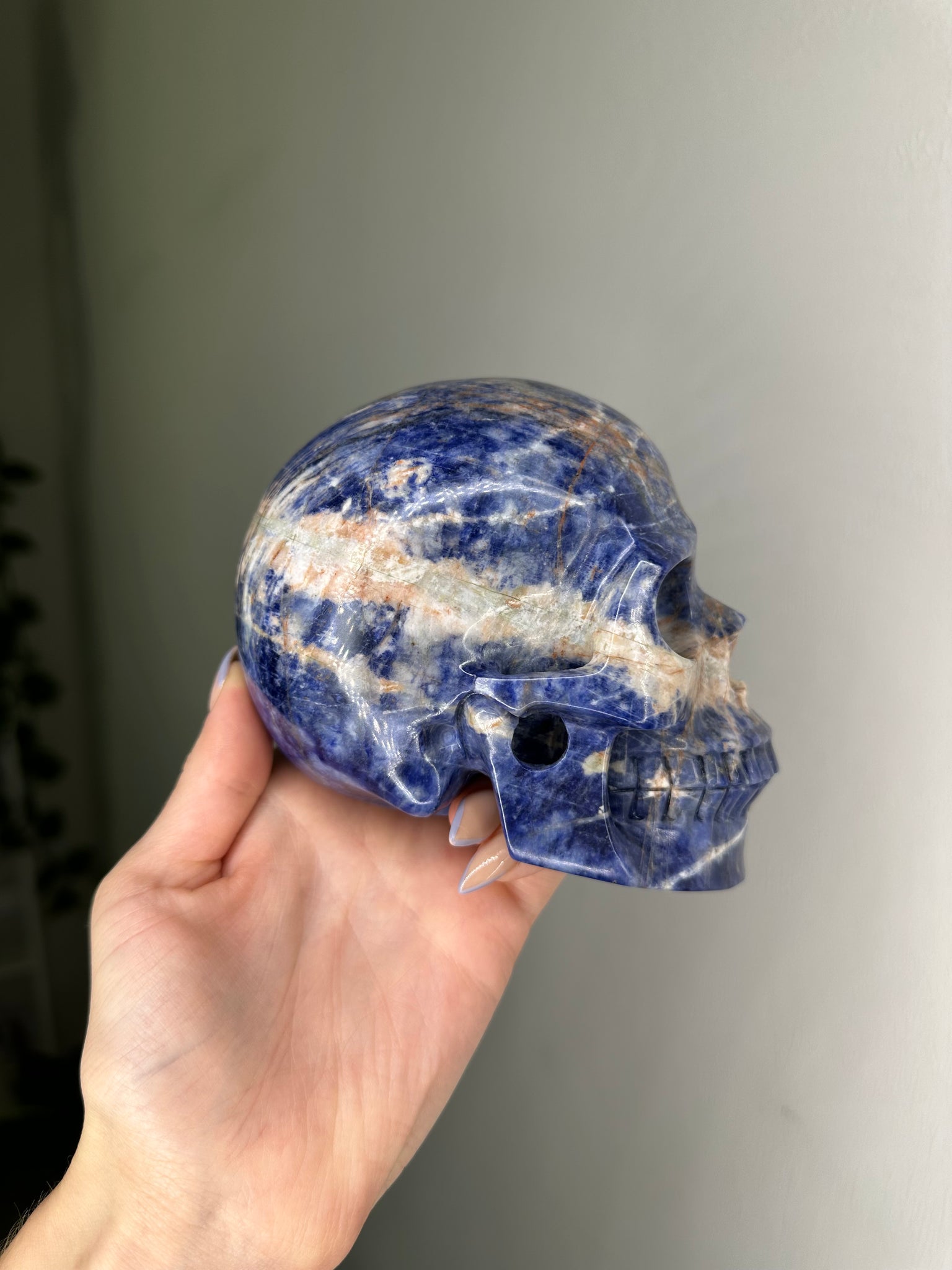 Sodalite Skull