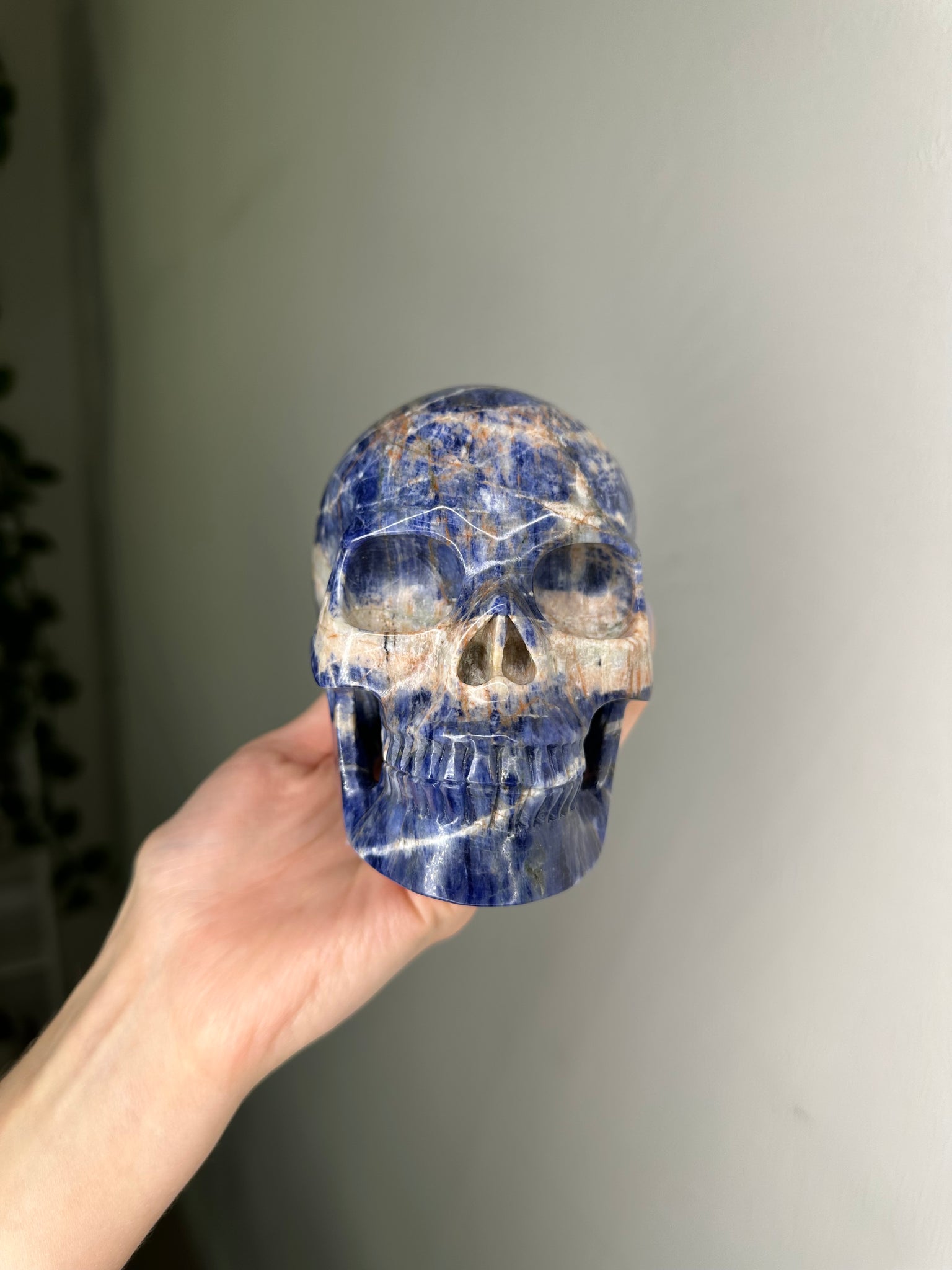 Sodalite Skull