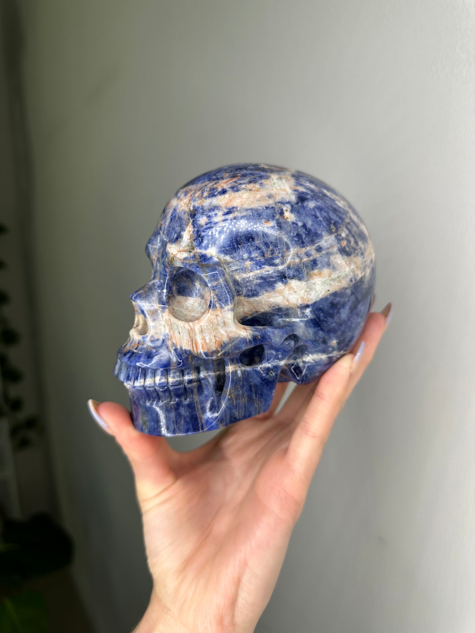 Sodalite Skull