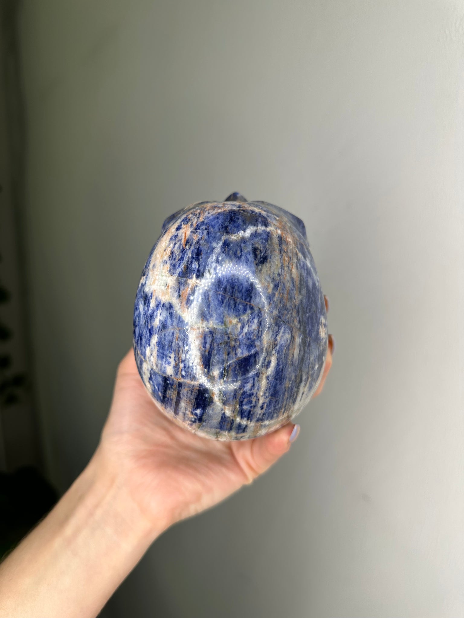 Sodalite Skull