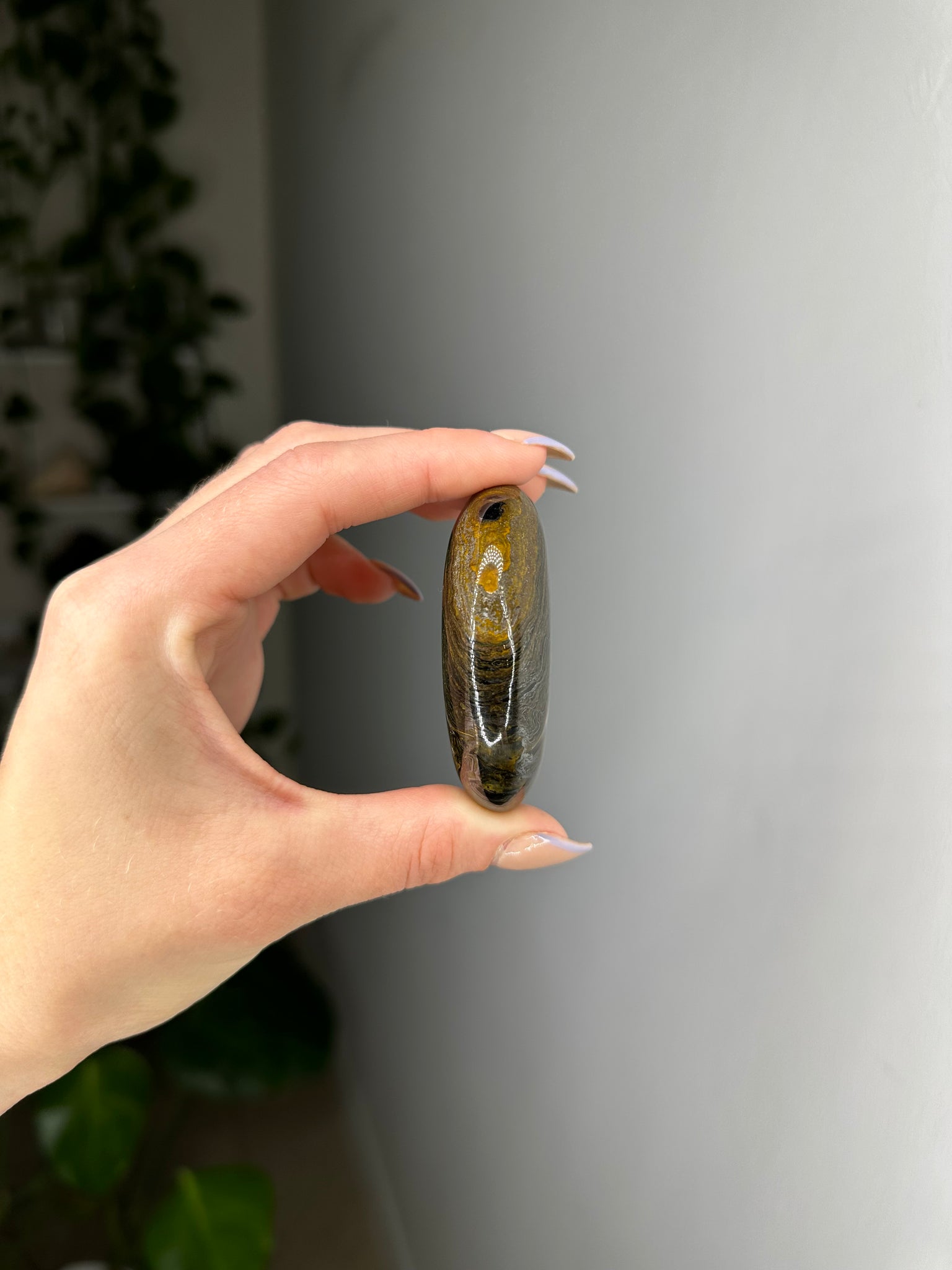 Tiger Iron Palmstone
