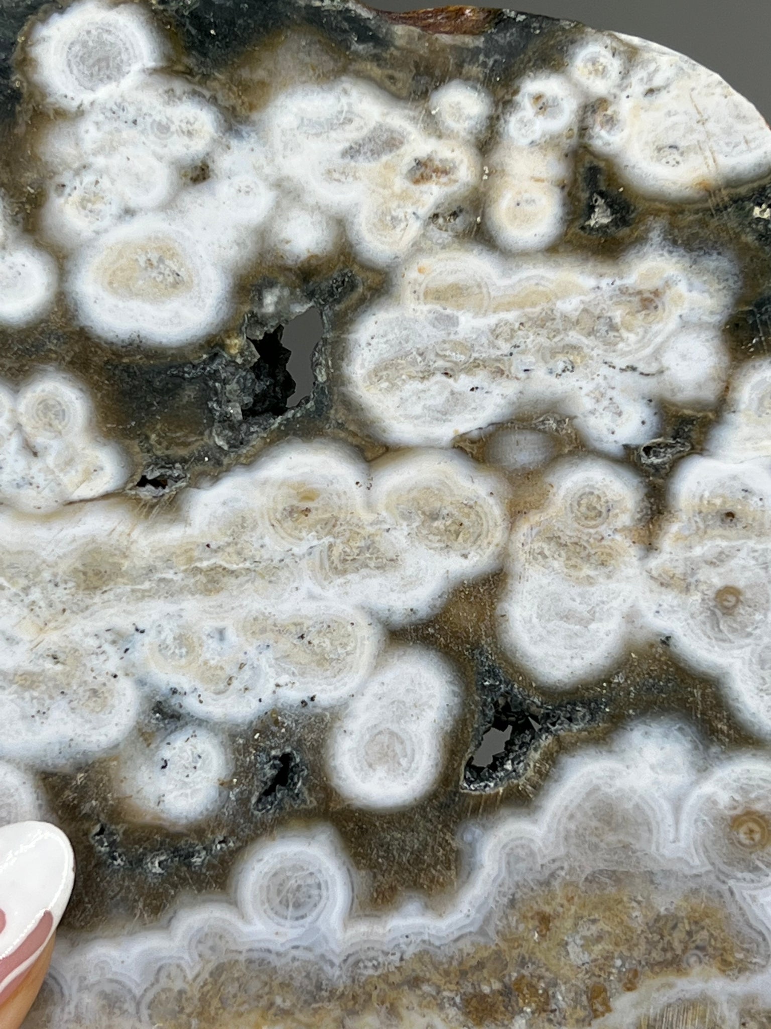 Ocean Jasper Slab