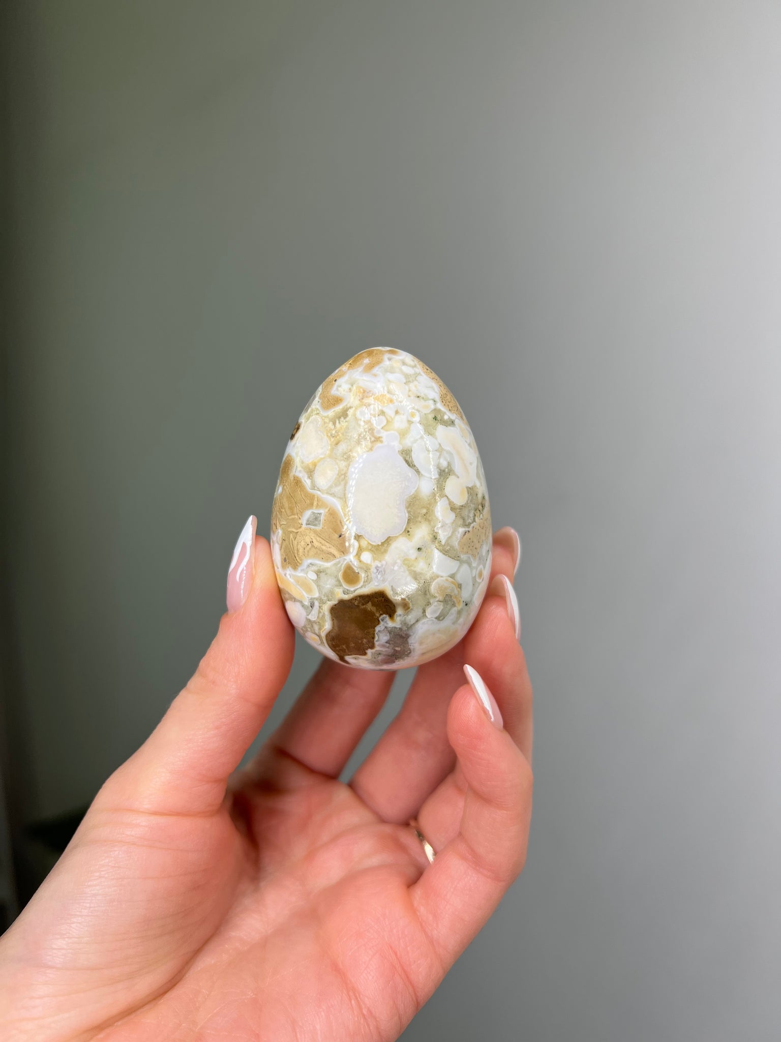 Cobra Jasper Egg