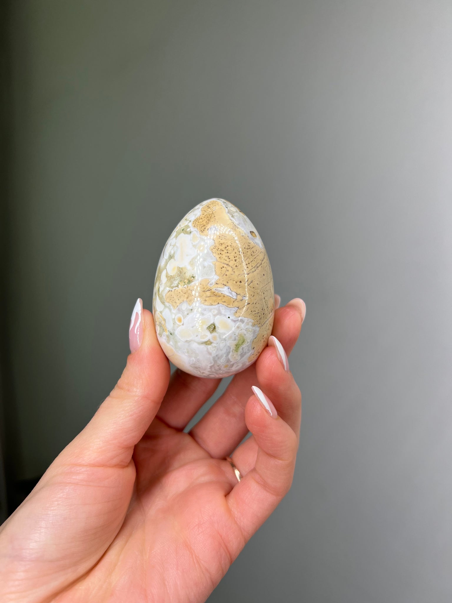 Cobra Jasper Egg