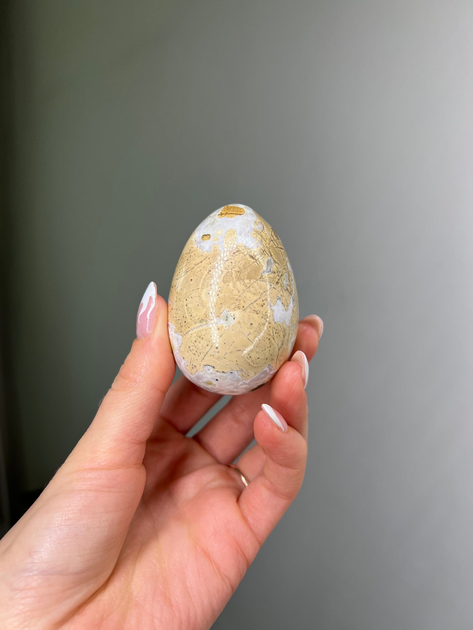Cobra Jasper Egg