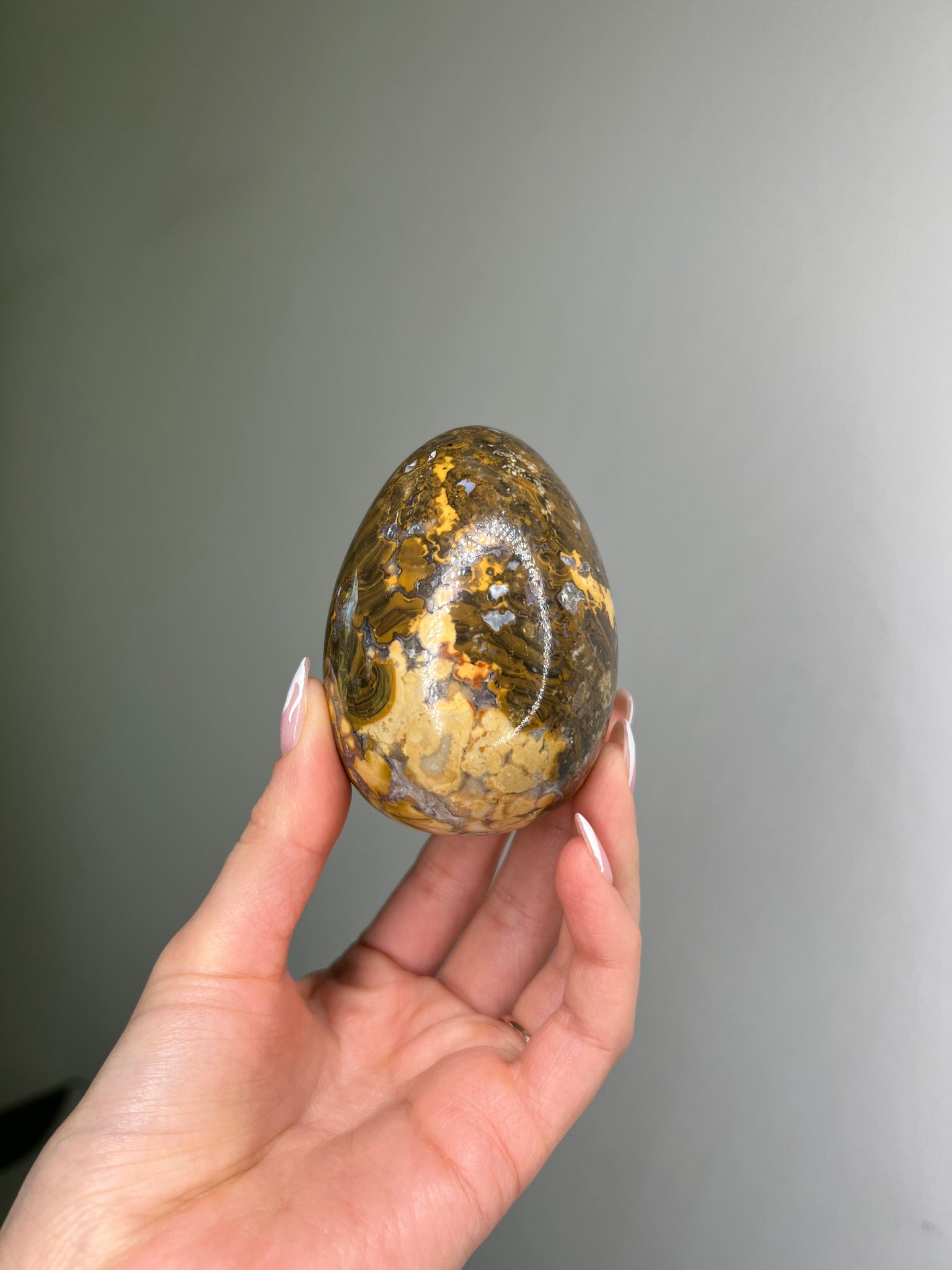 Cobra Jasper Egg