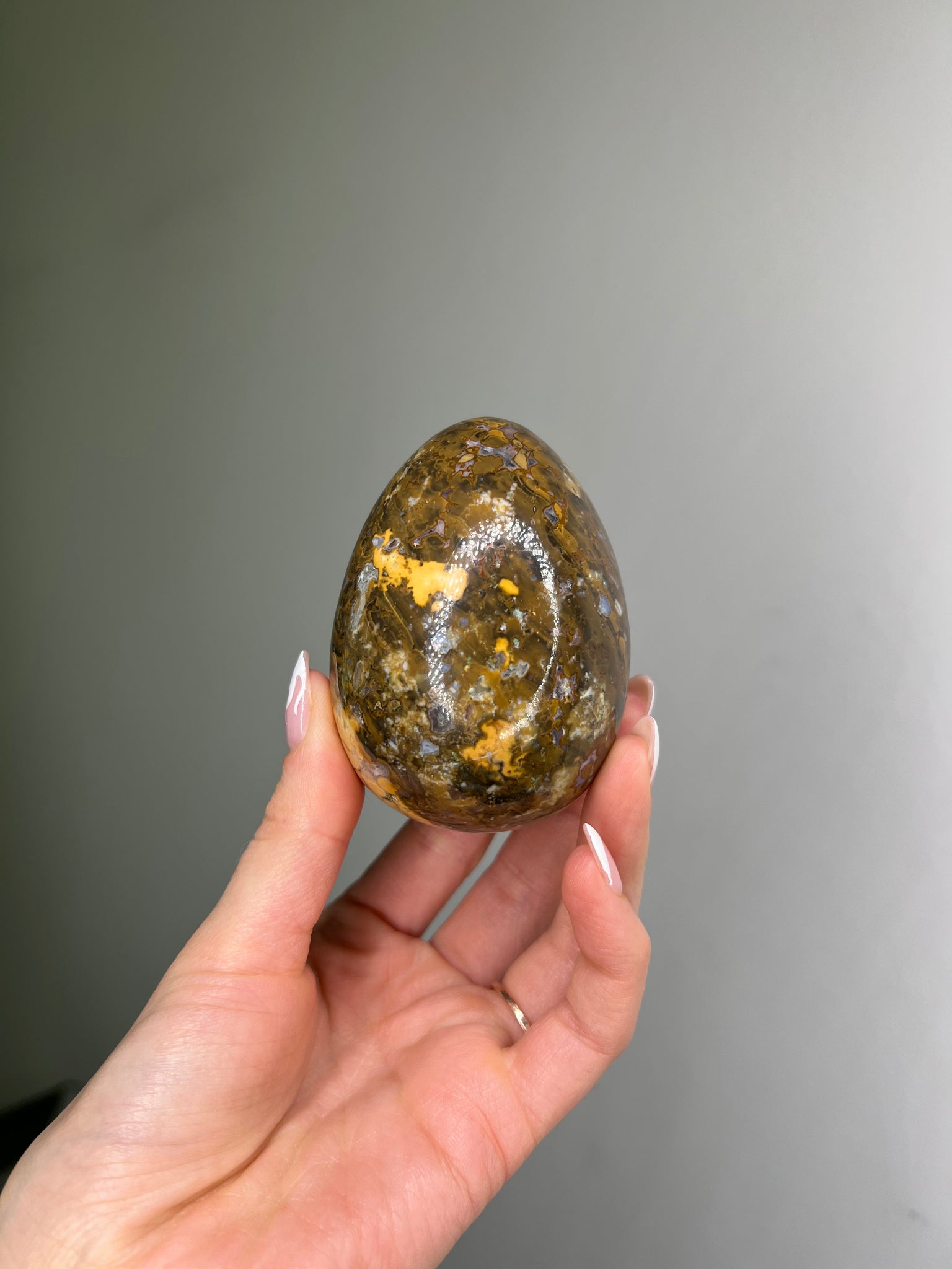 Cobra Jasper Egg