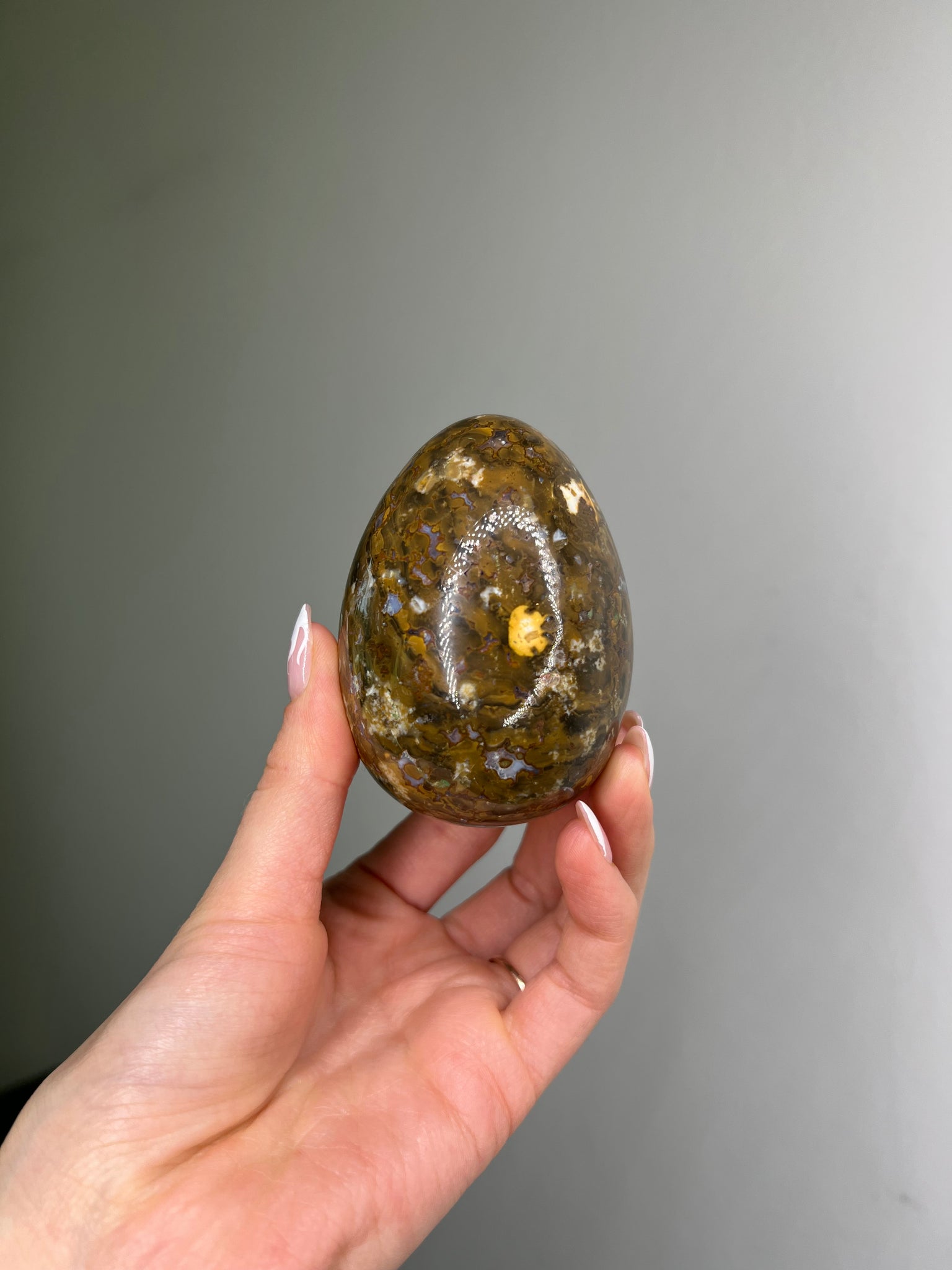 Cobra Jasper Egg