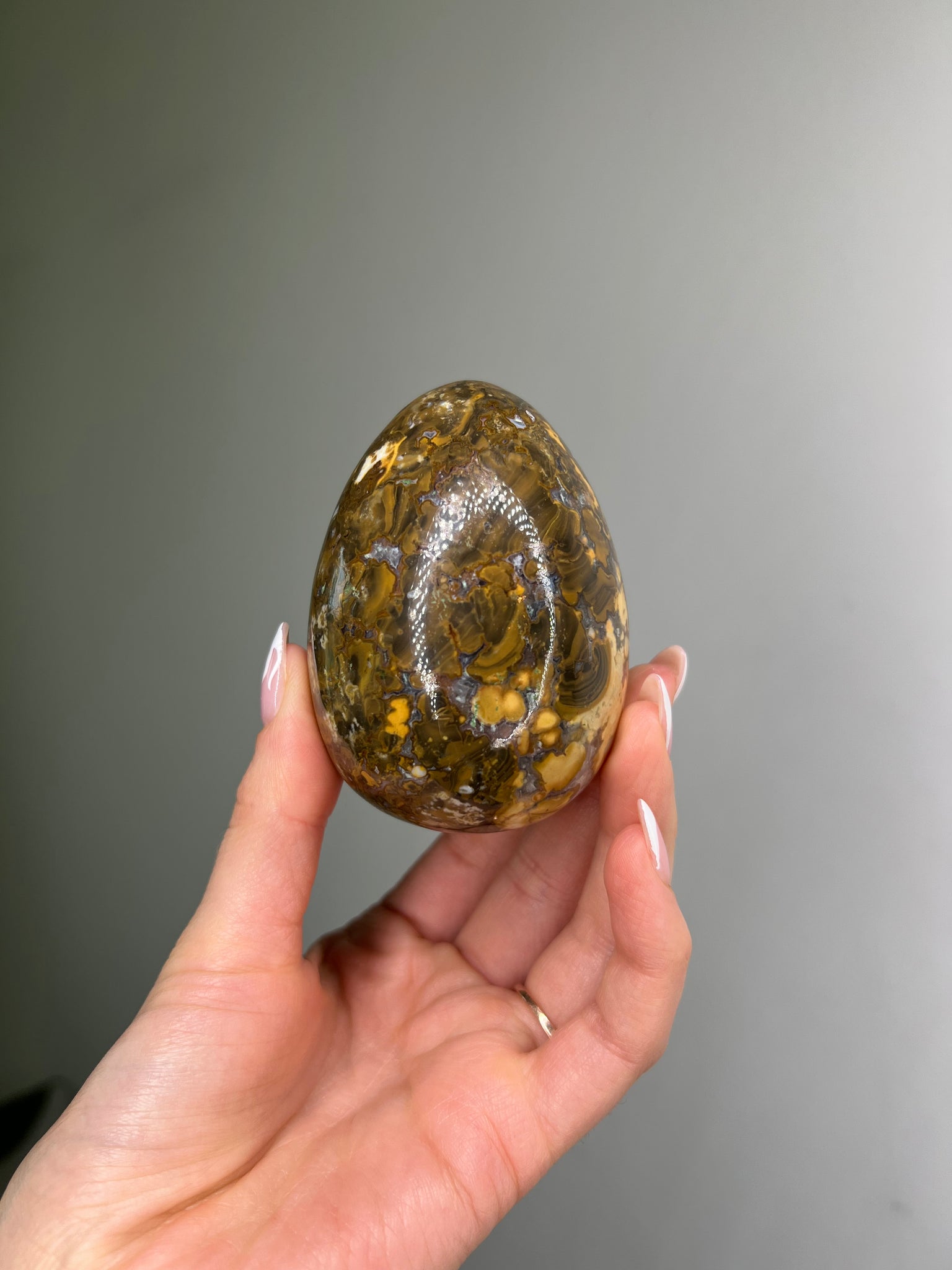 Cobra Jasper Egg