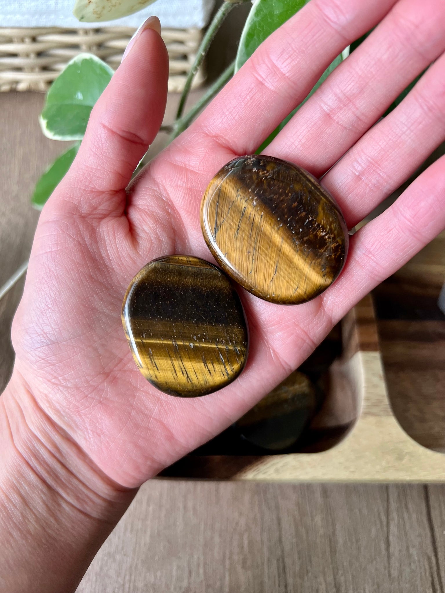 Tigers Eye Coin - Add-on