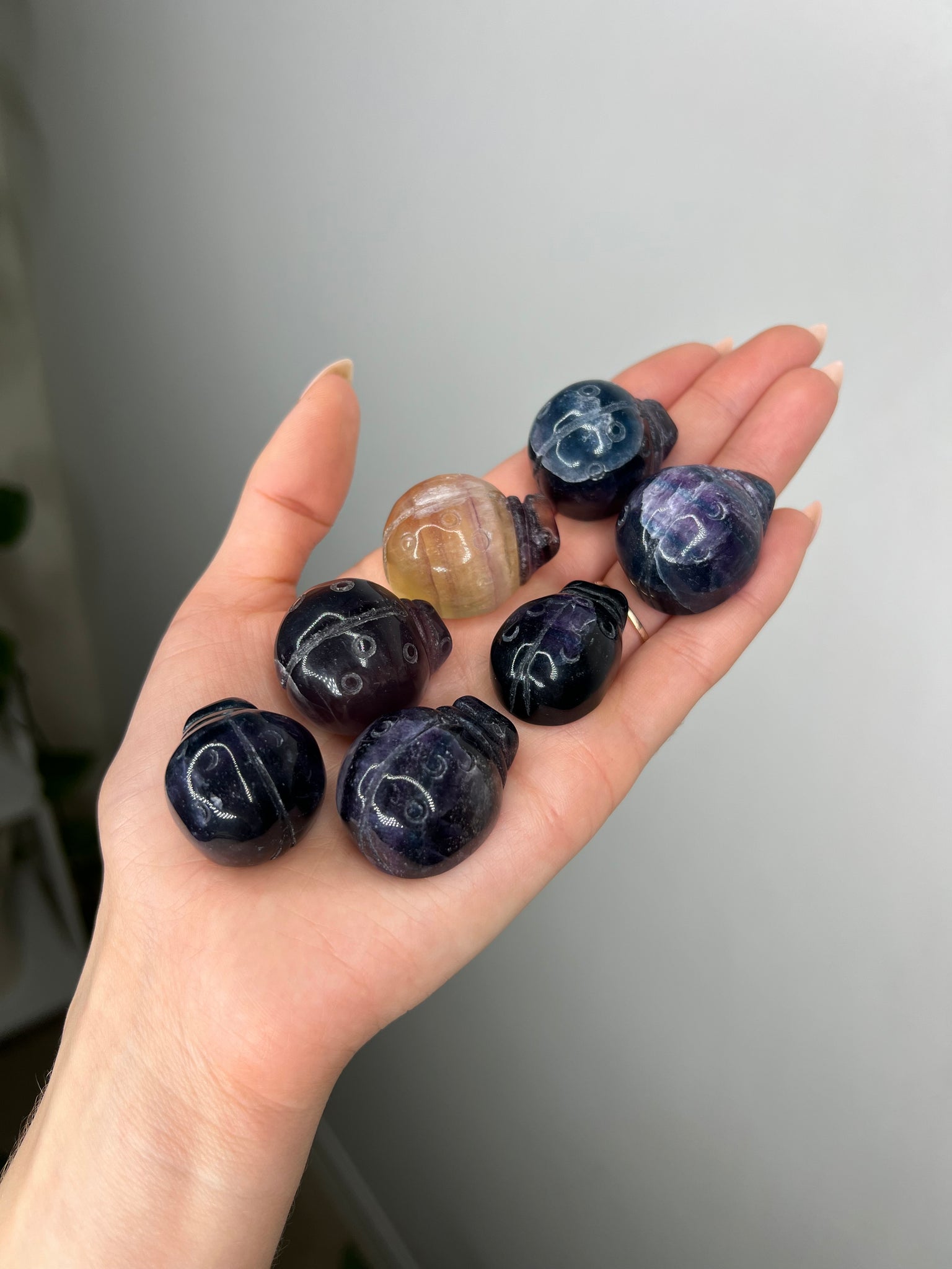 Fluorite Lady Bug - Add-on