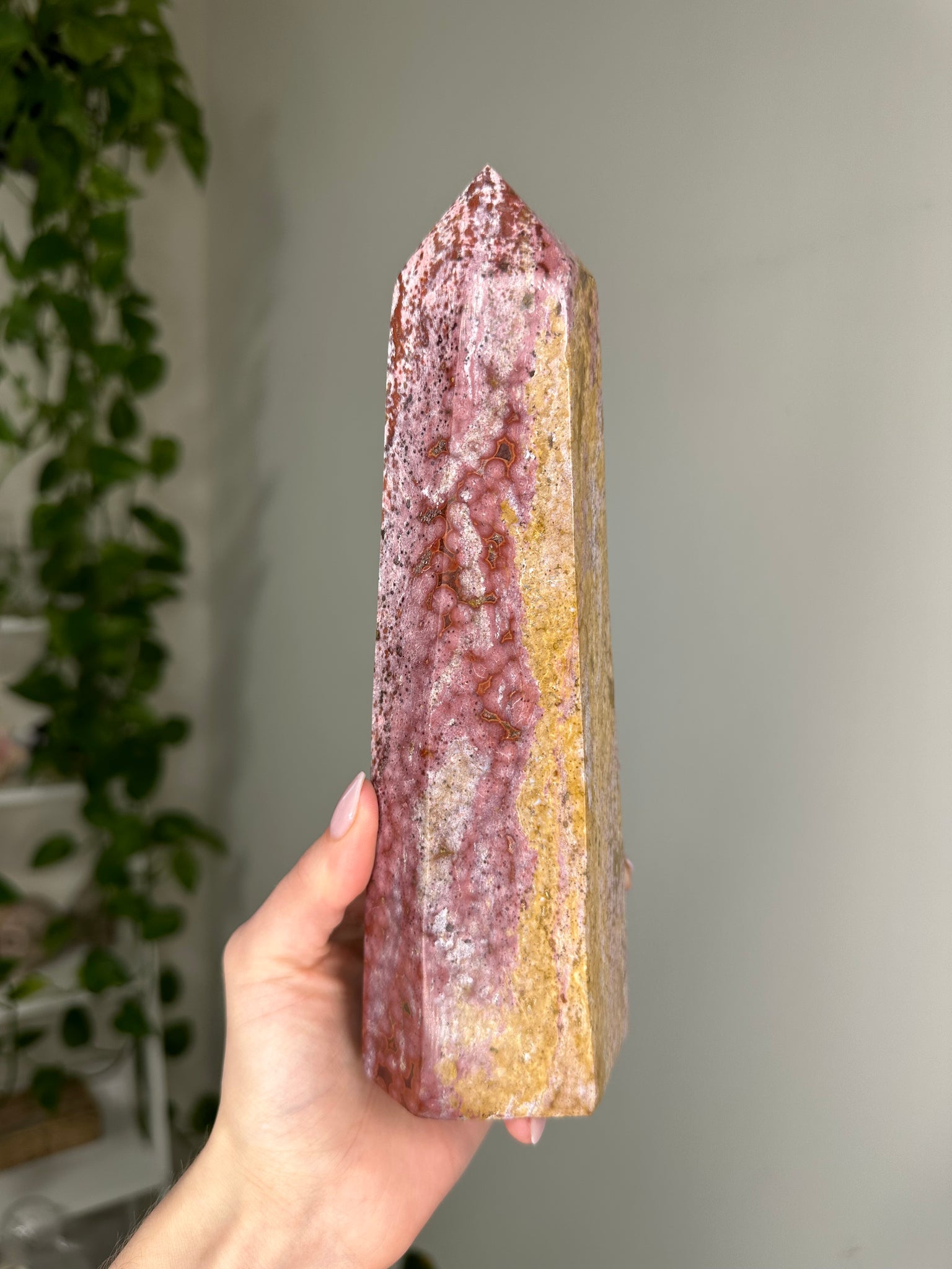 Ocean Jasper Tower