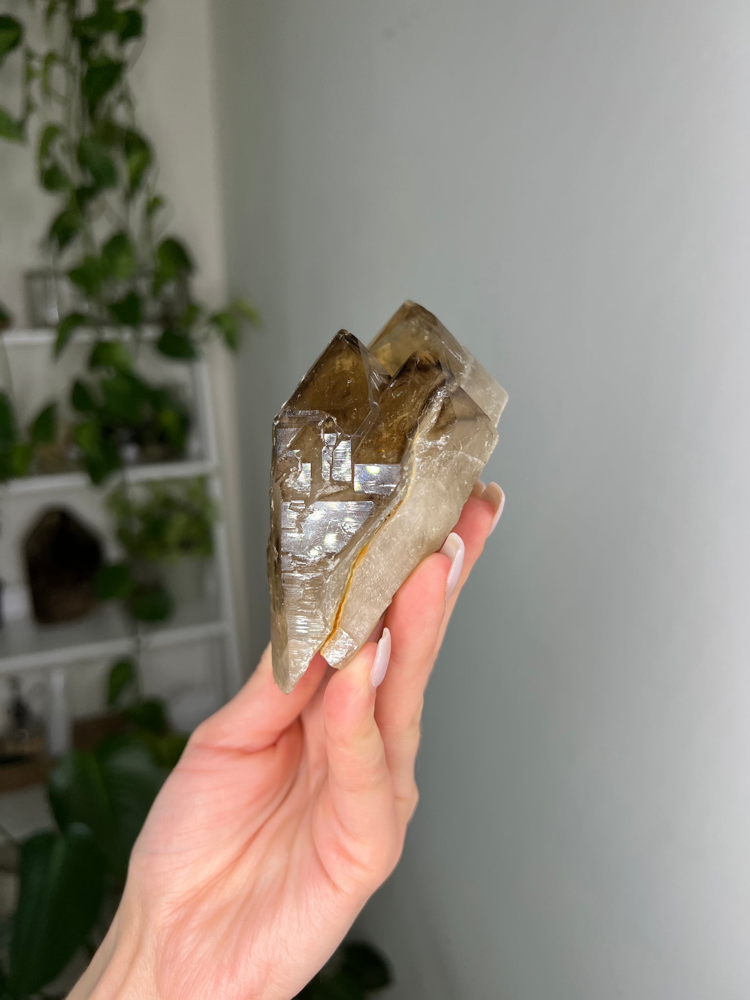 Natural Citrine Elestial