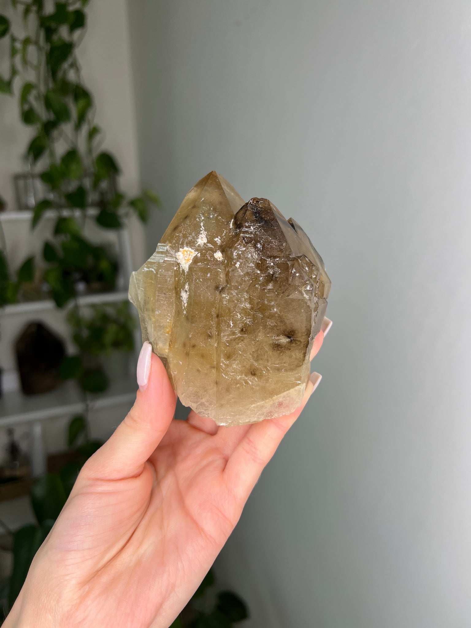 Natural Citrine Elestial