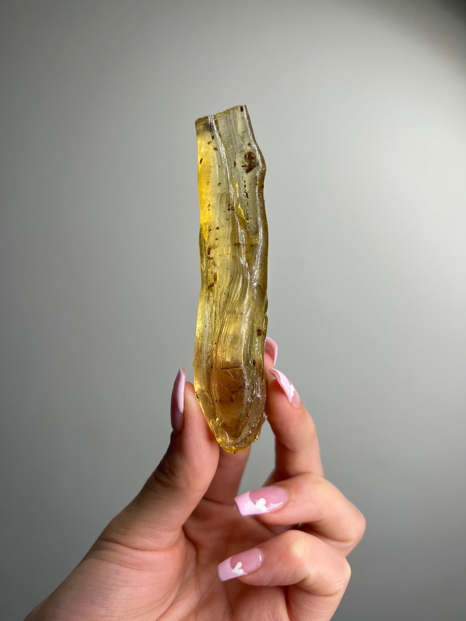 Amber Freeform w/ Bugs
