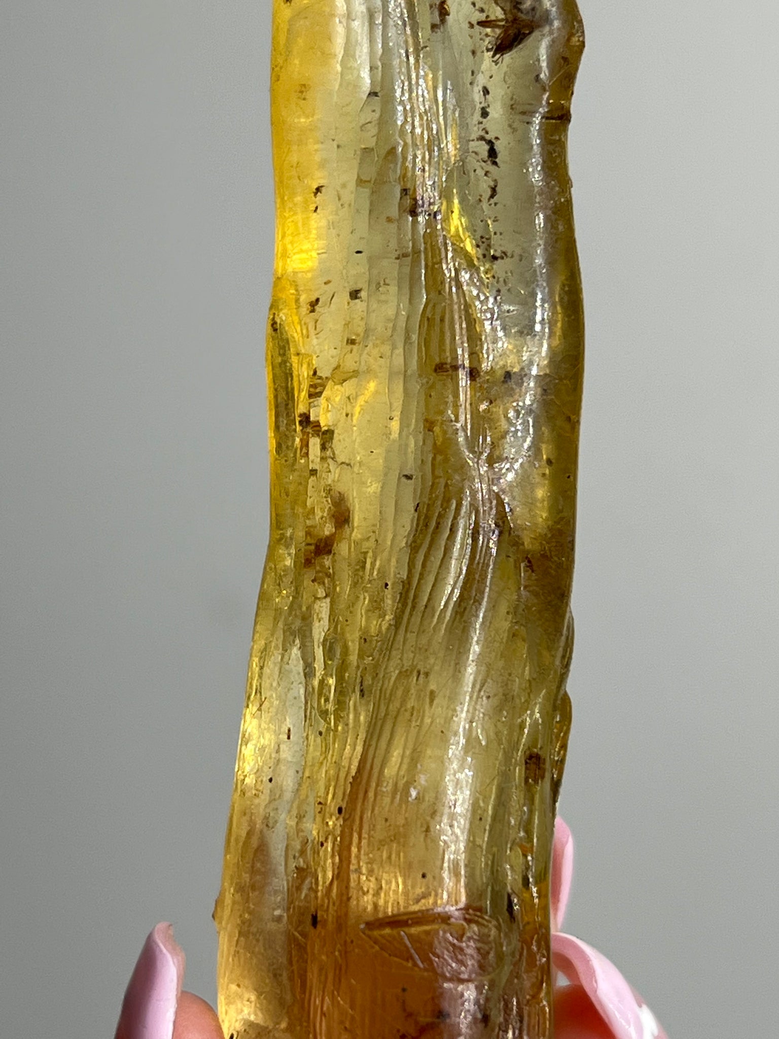 Amber Freeform w/ Bugs