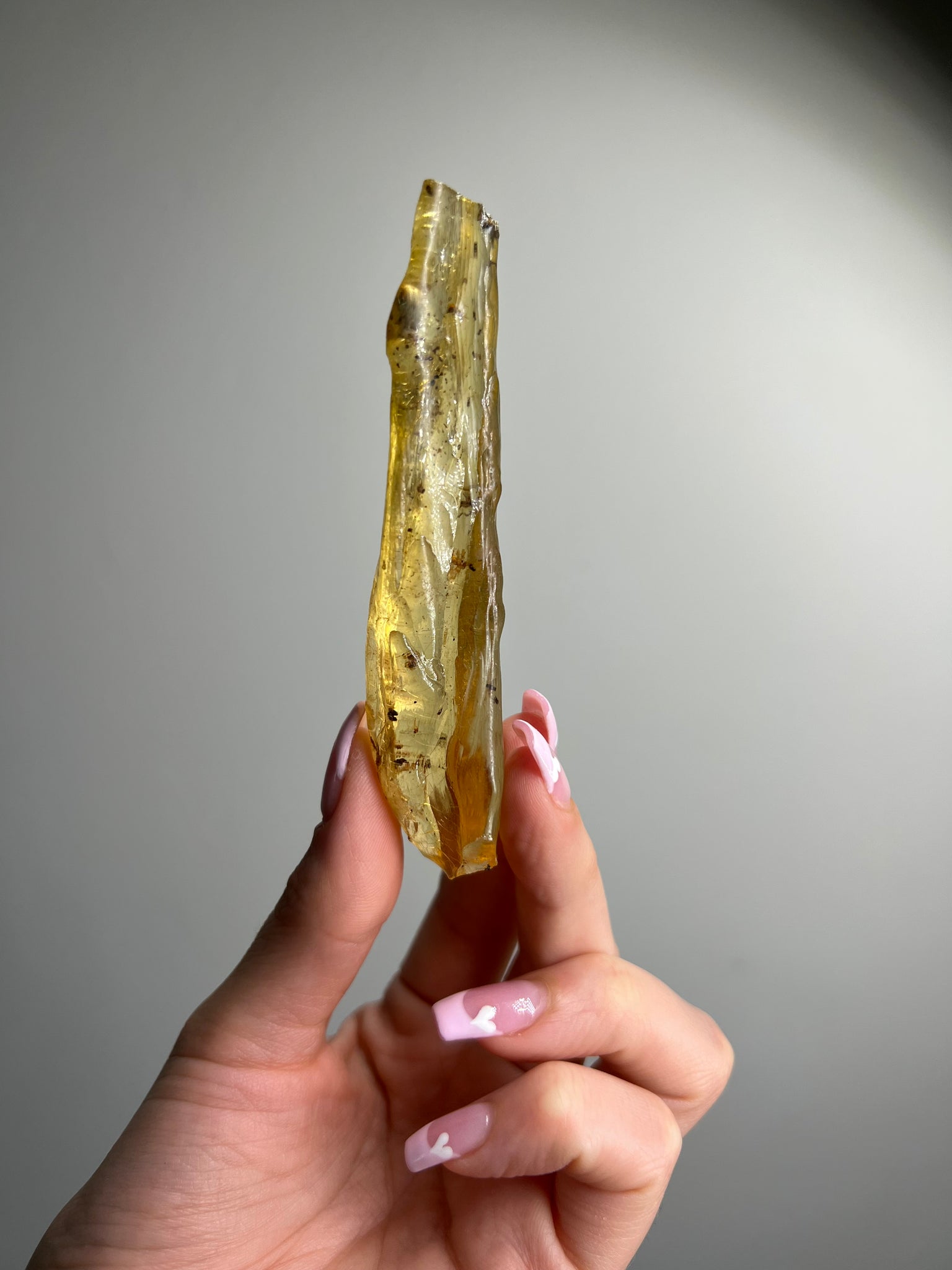 Amber Freeform w/ Bugs