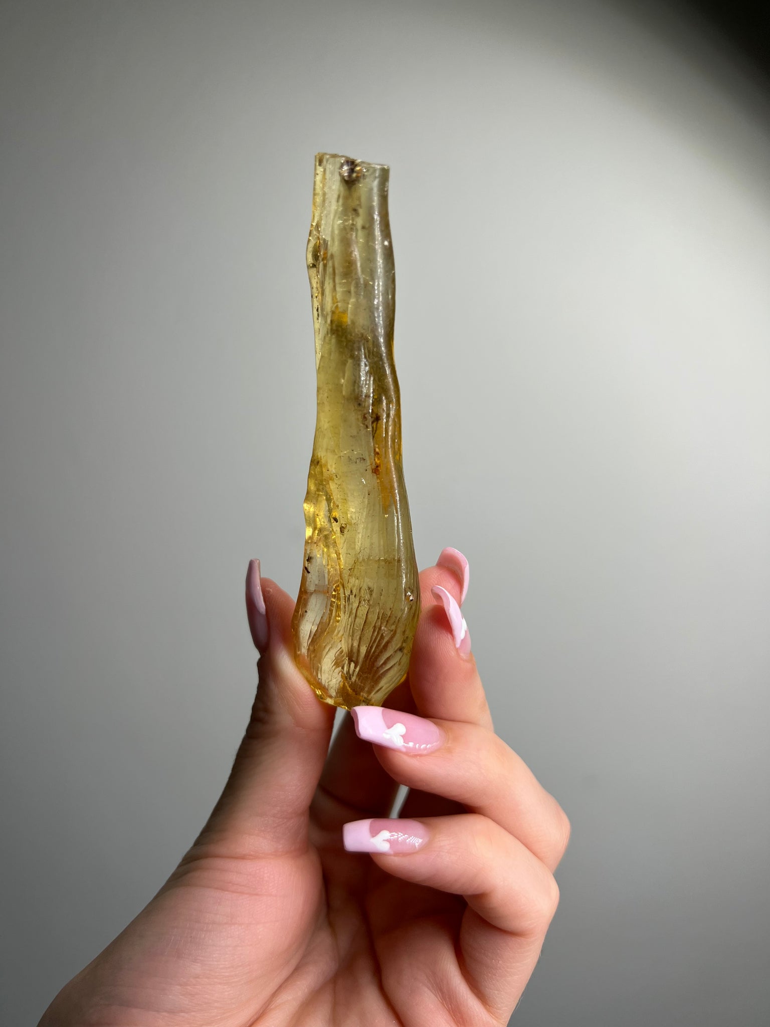 Amber Freeform w/ Bugs