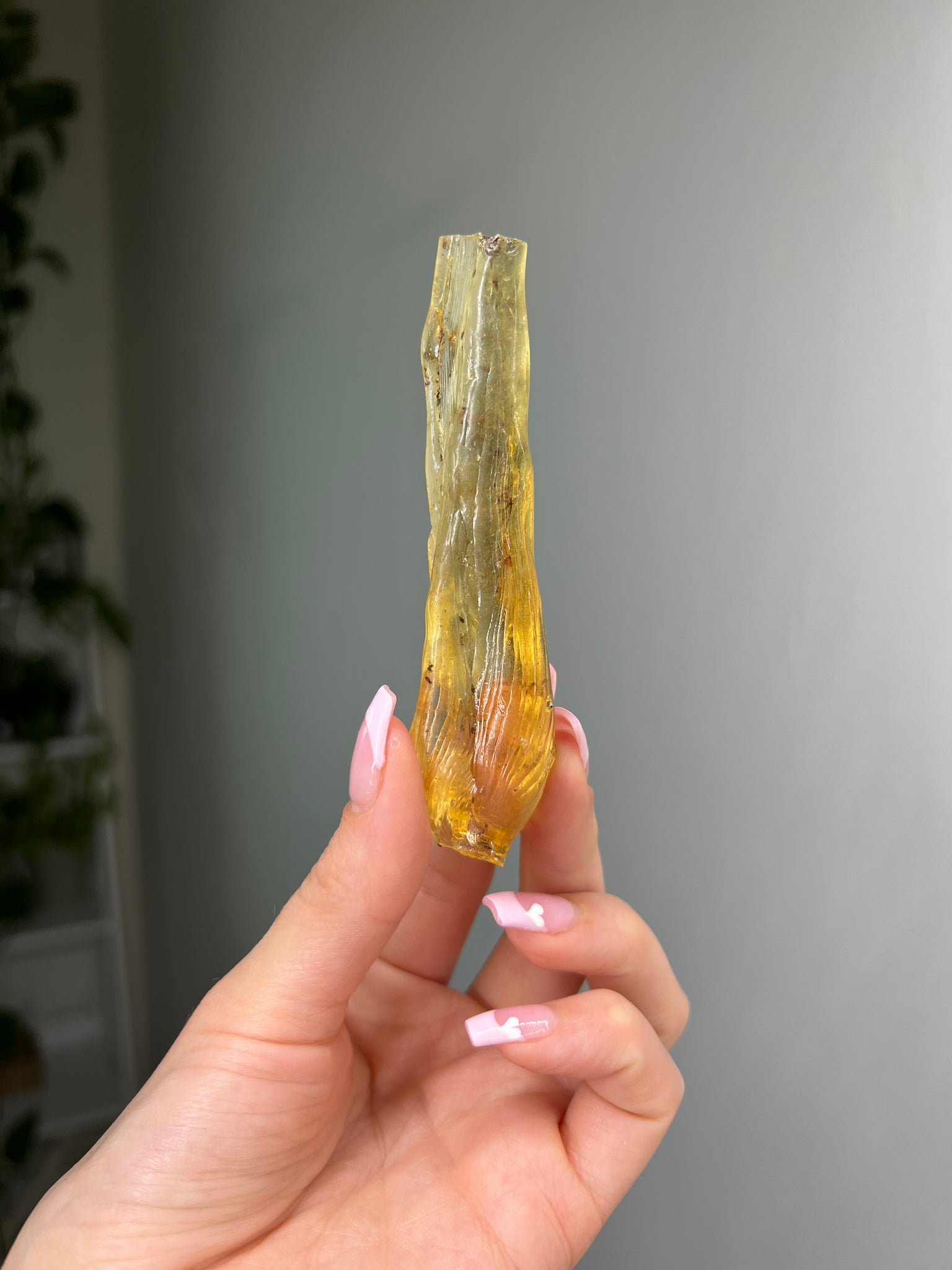 Amber Freeform w/ Bugs